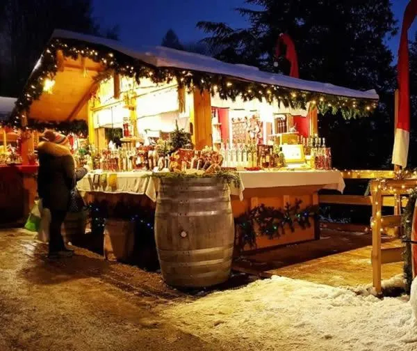 Nature Bio Hotel Elite