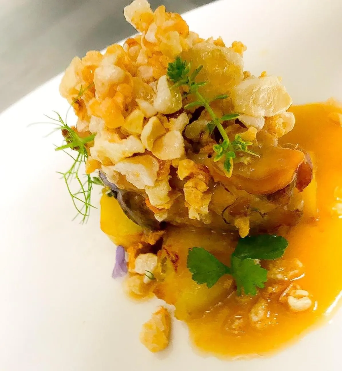 Food and drinks in Nature Bio Hotel Elite