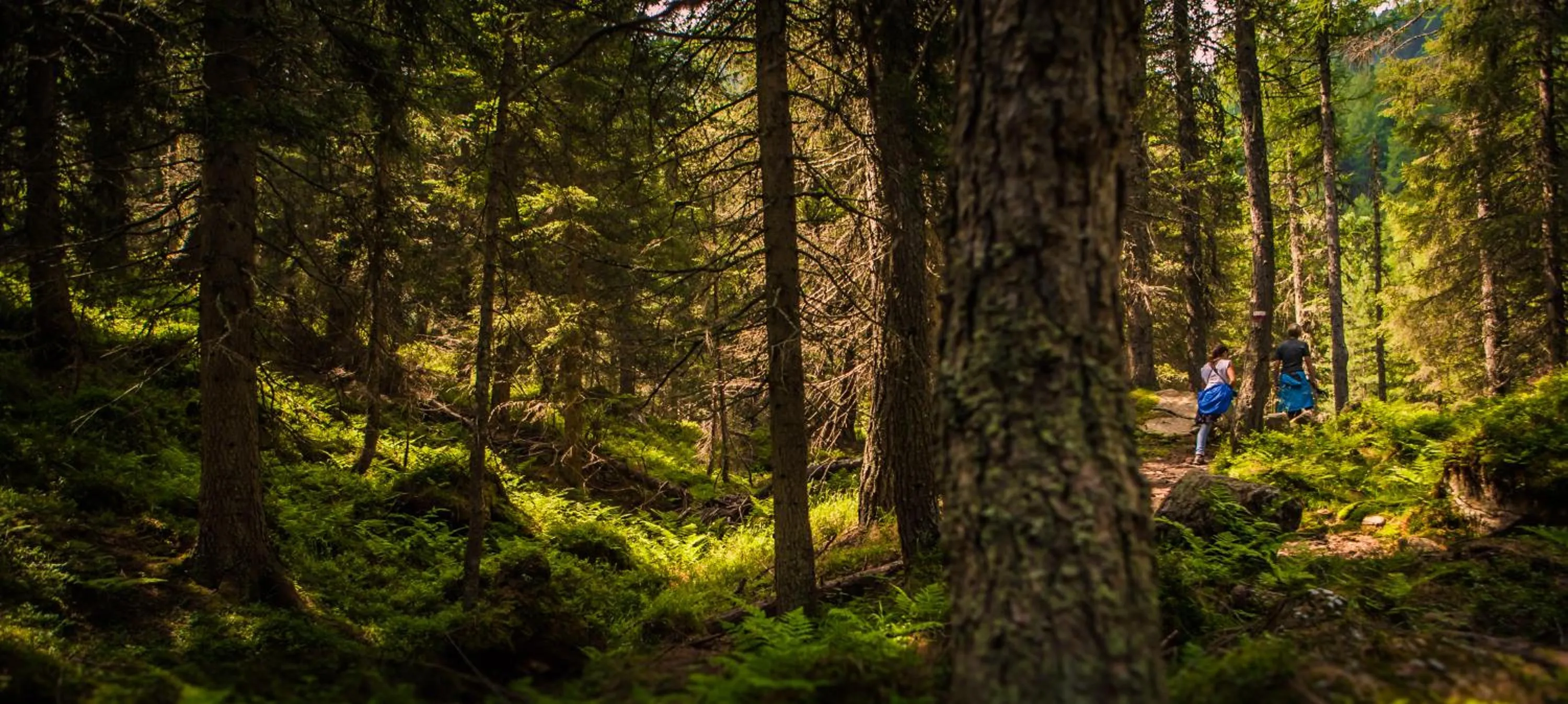 Natural landscape in Nature Bio Hotel Elite