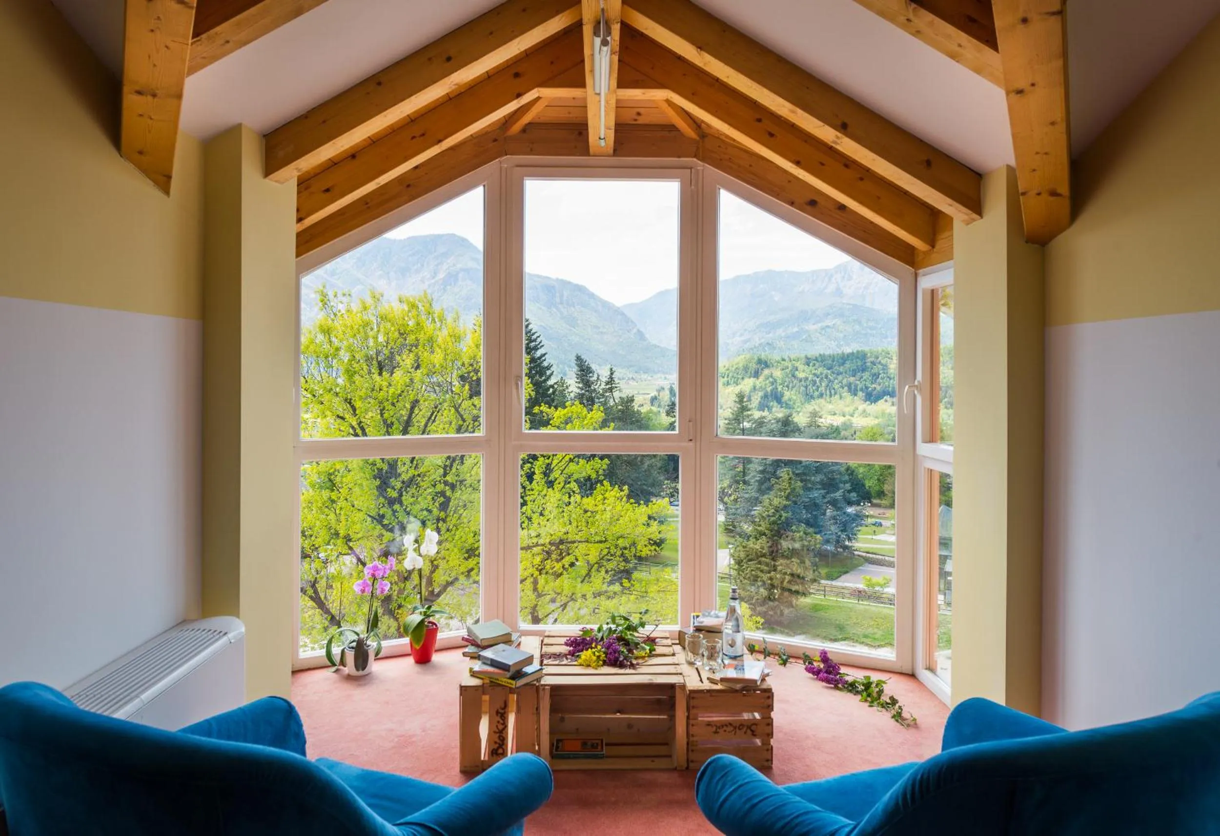 Mountain view in Nature Bio Hotel Elite