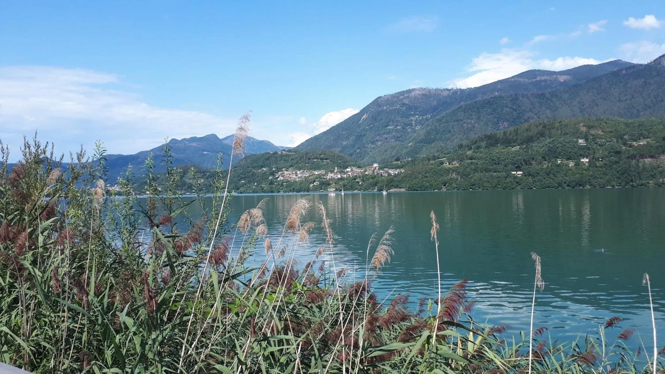 Natural landscape in Nature Bio Hotel Elite