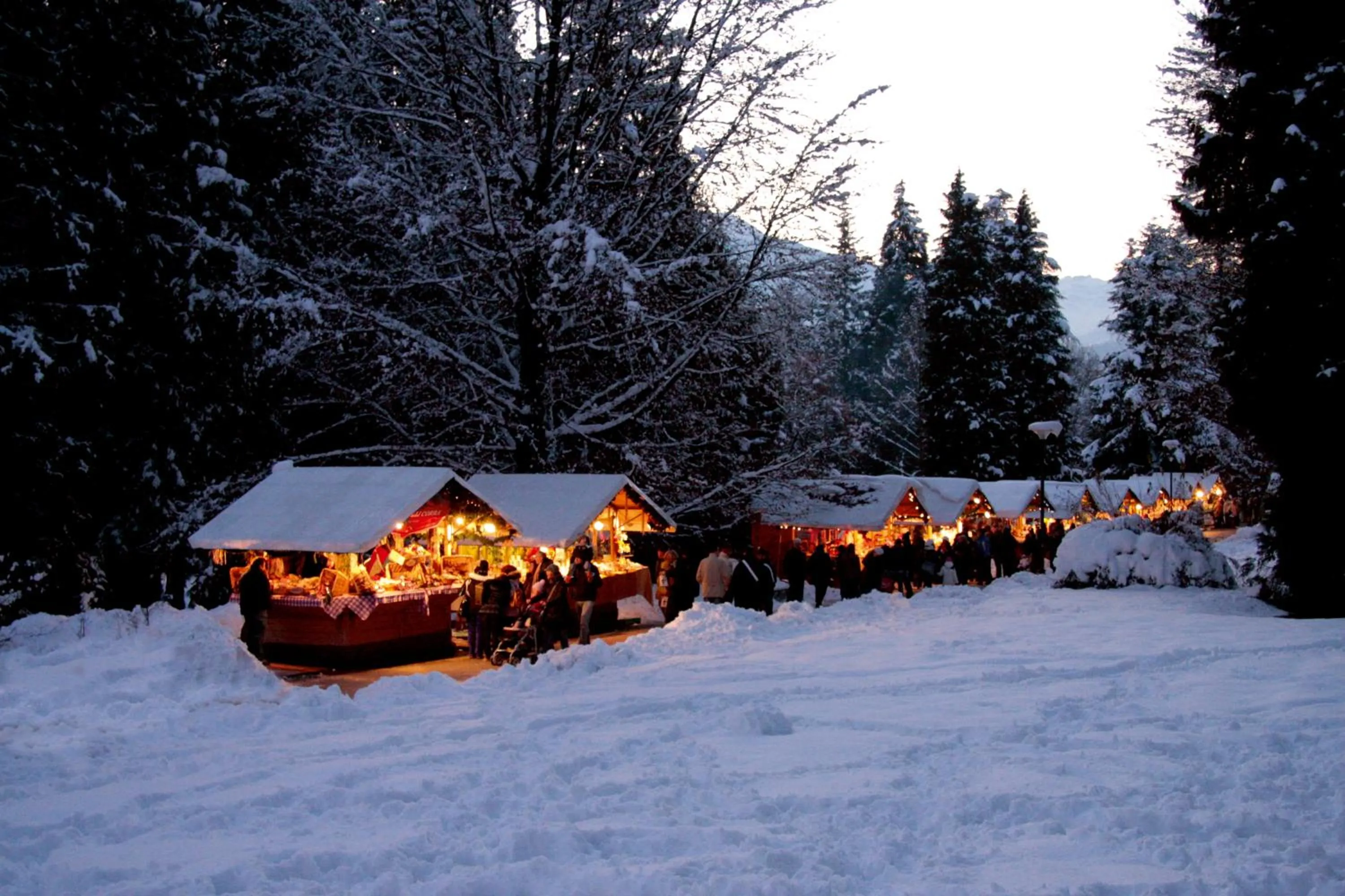 Winter in Nature Bio Hotel Elite