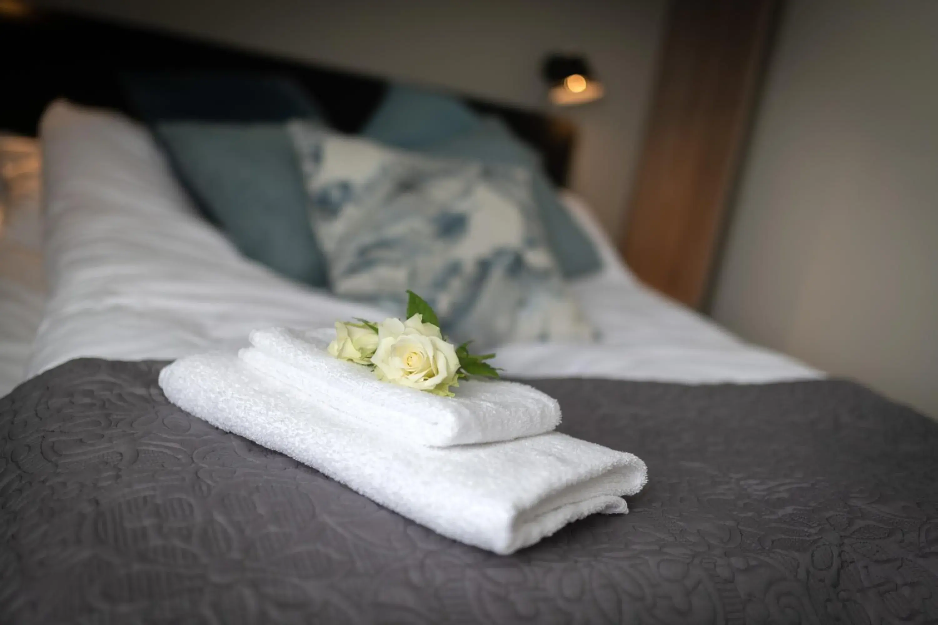 Double Room - single occupancy in Hotell Regine Double Room - single occupancy in Hotell Regine