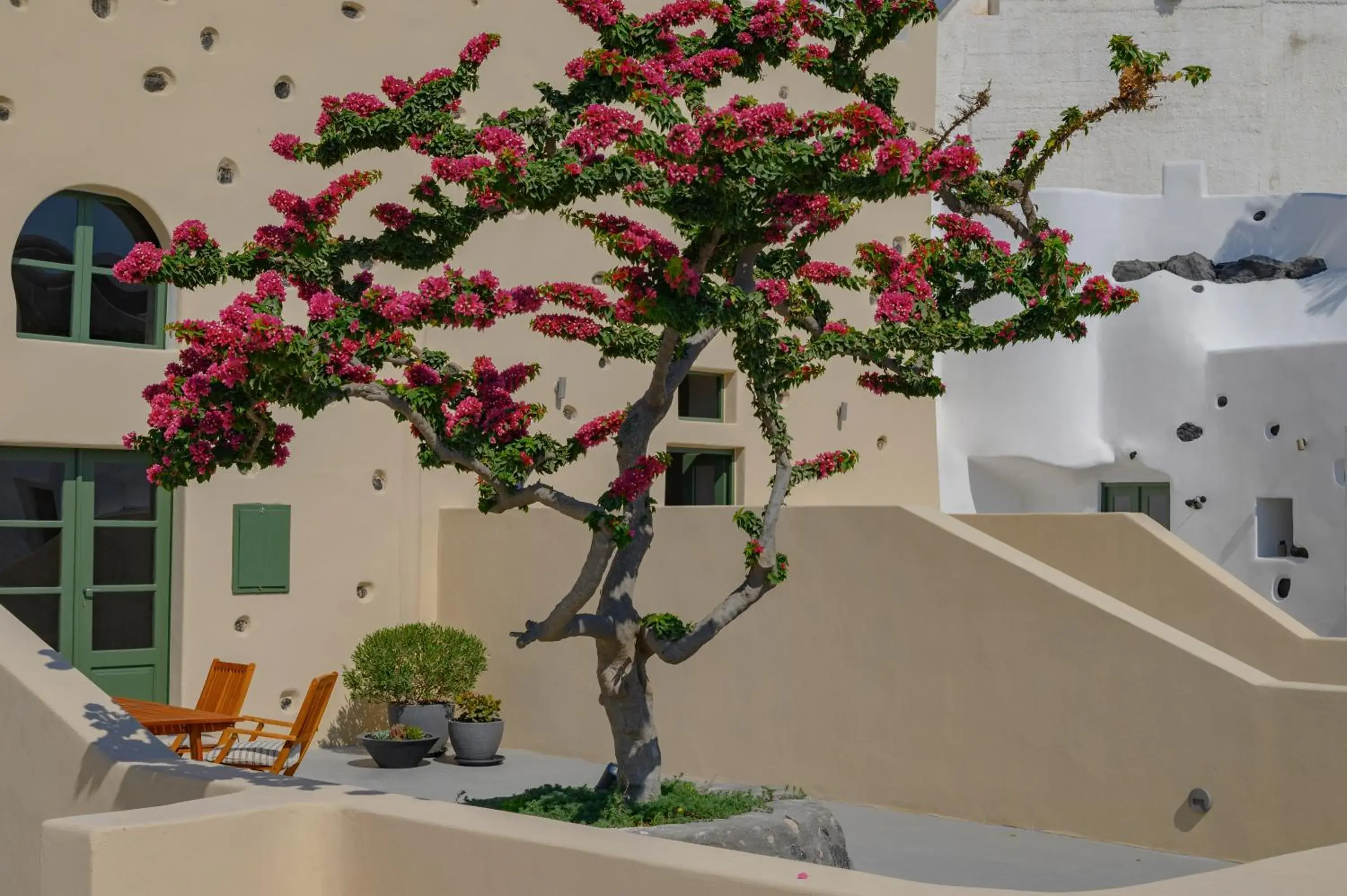 Garden view in Elements Cave Suites Garden view in Elements Cave Suites