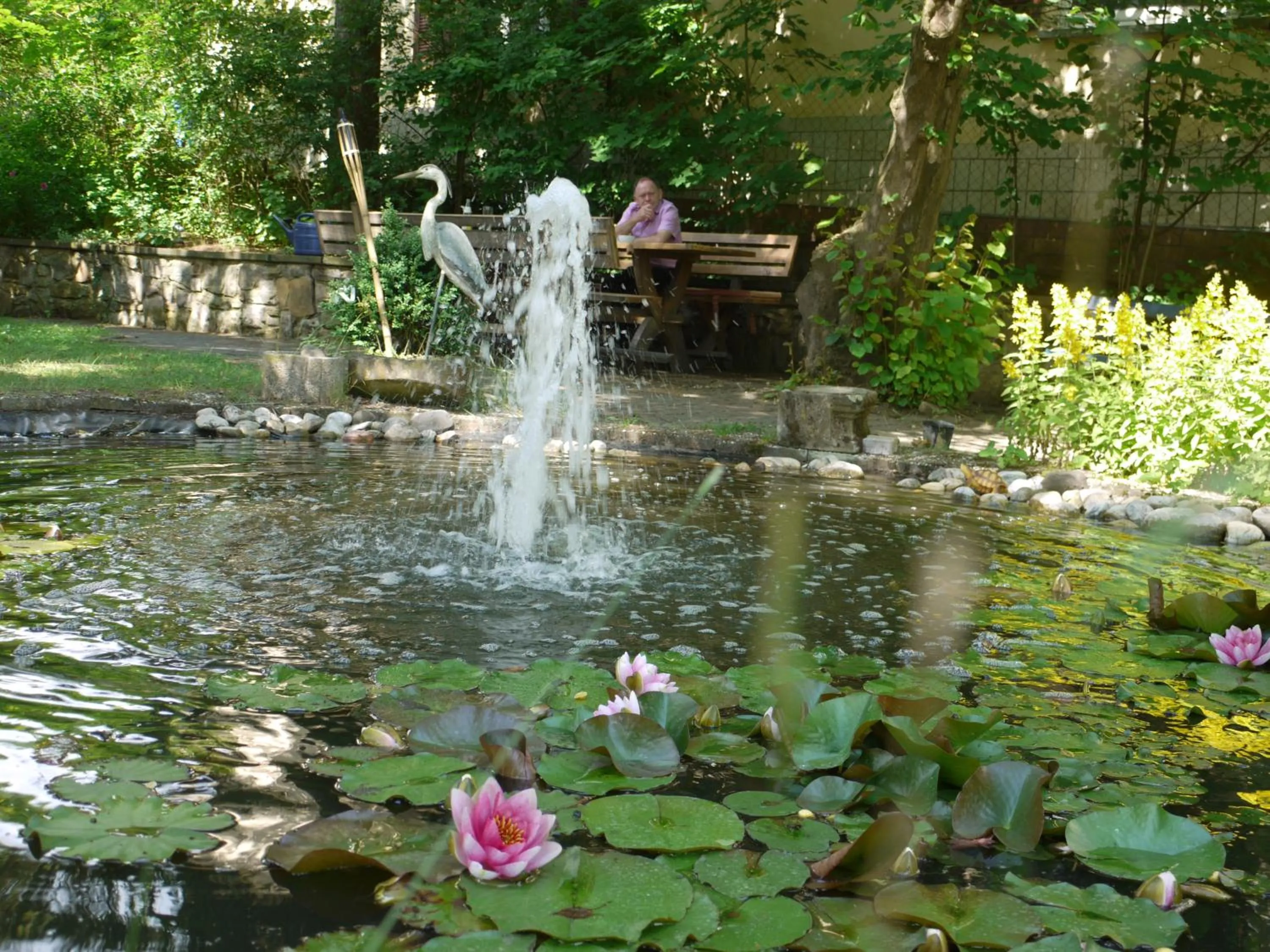 Garden in Hotel Ebner