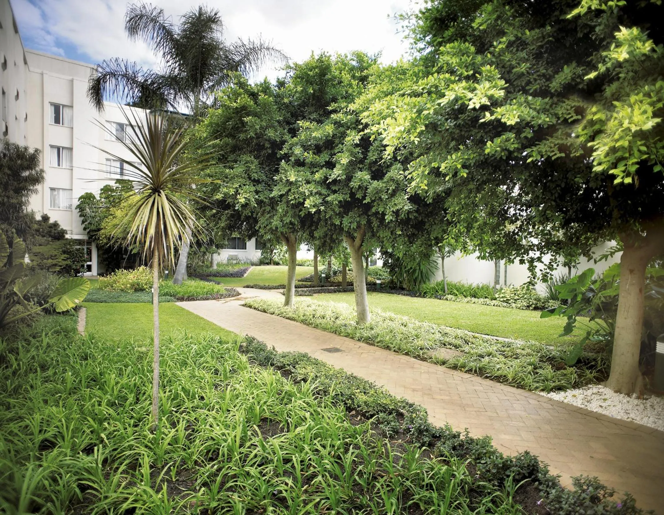 Garden in Southern Sun Ridgeway Lusaka