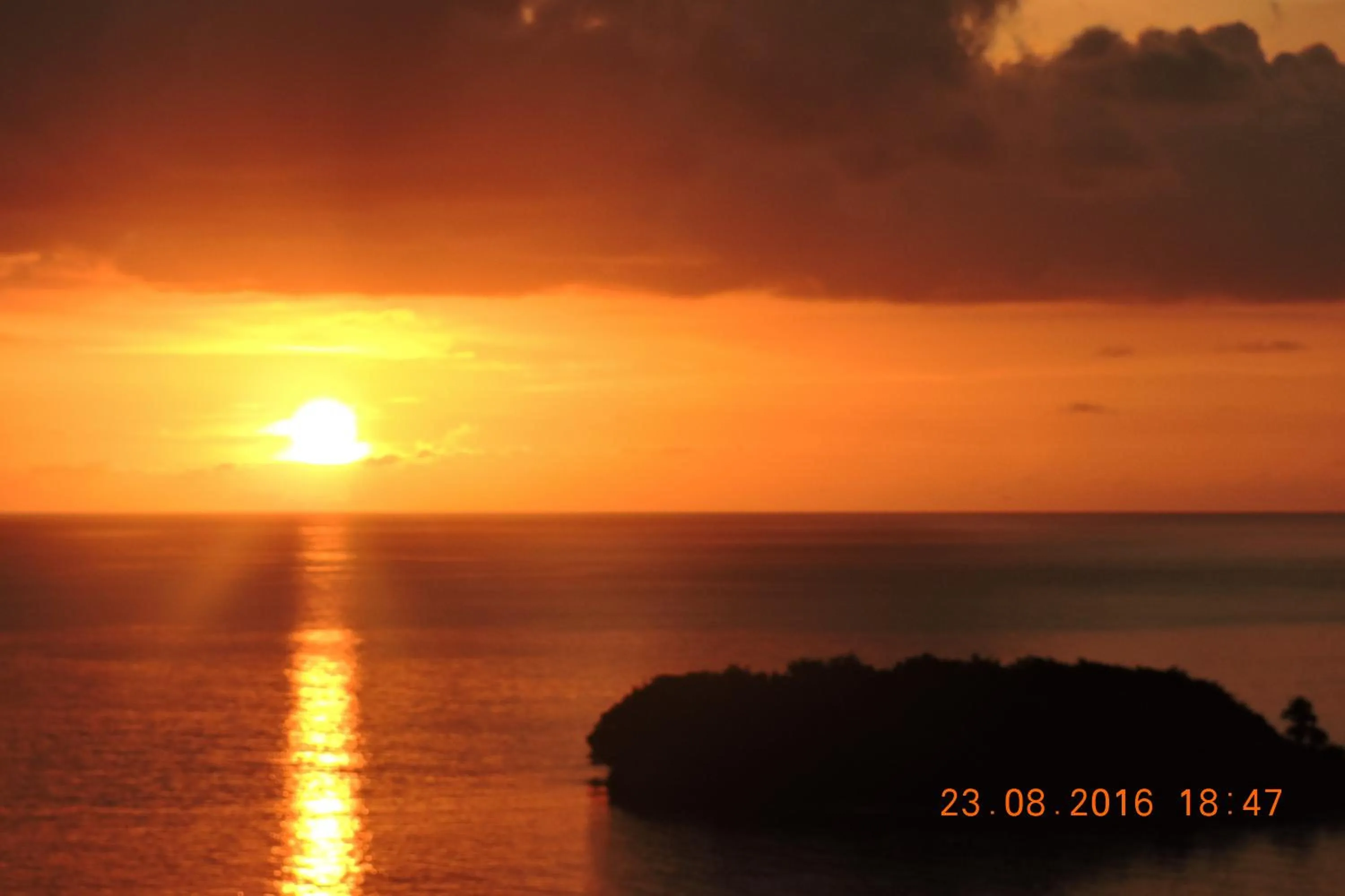 Natural landscape in Amazing Beach View Apartments