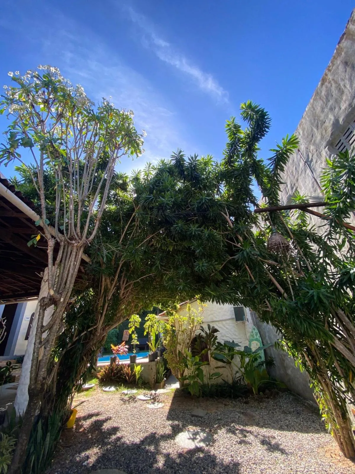 Garden in Pousada Toa Toa Em Pipa