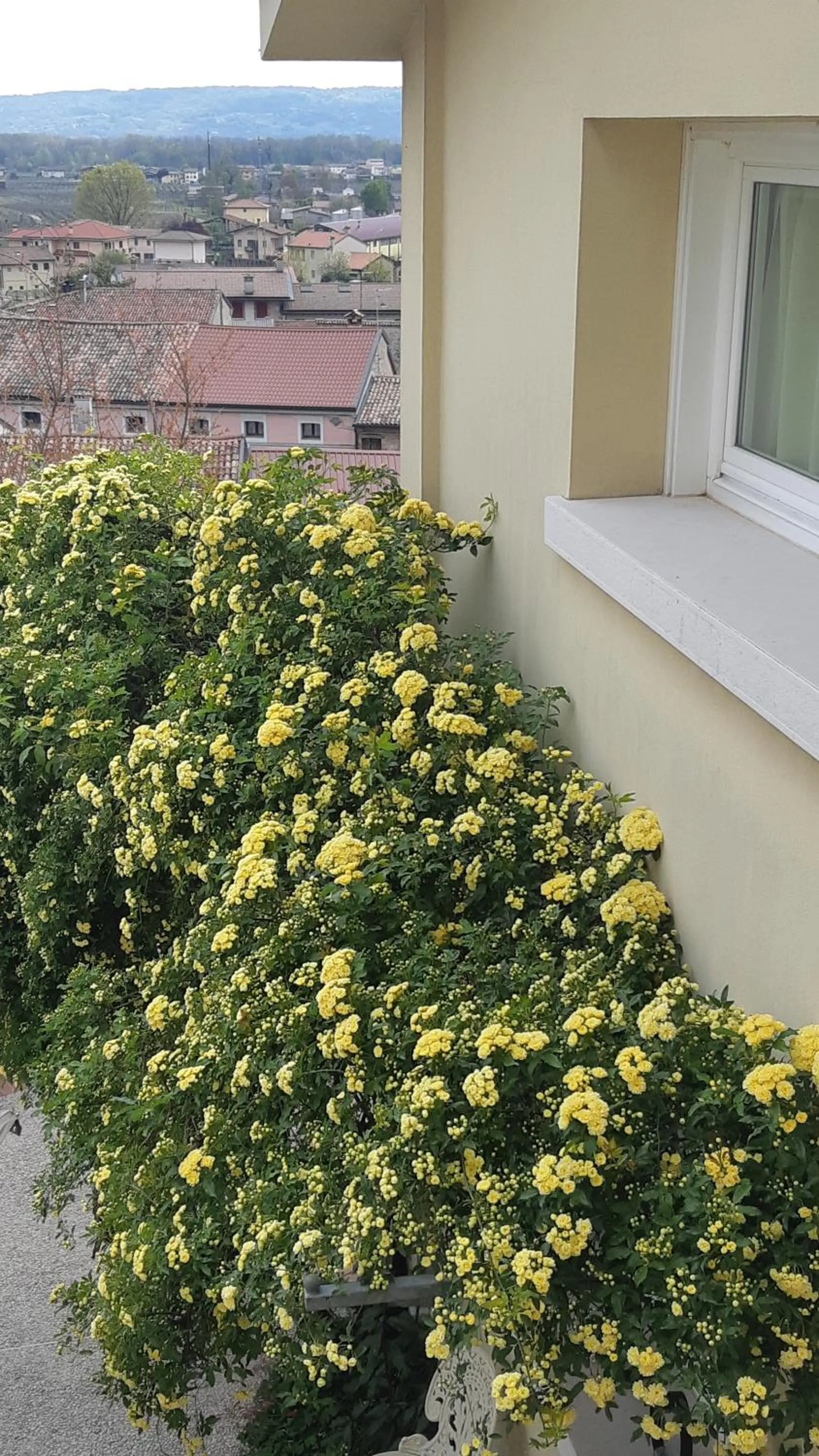 Property building in Casa Marinelli