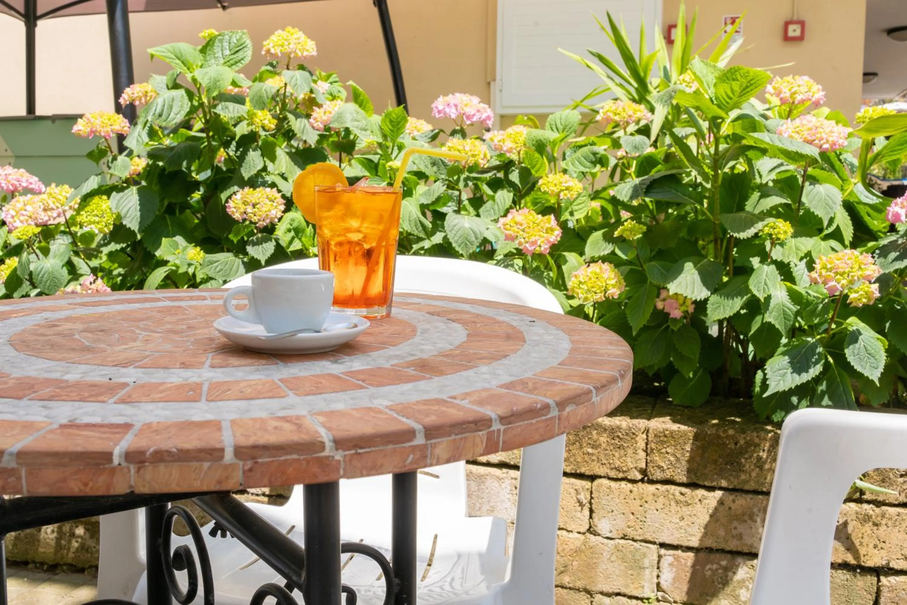 Garden in Hotel Villa Isola