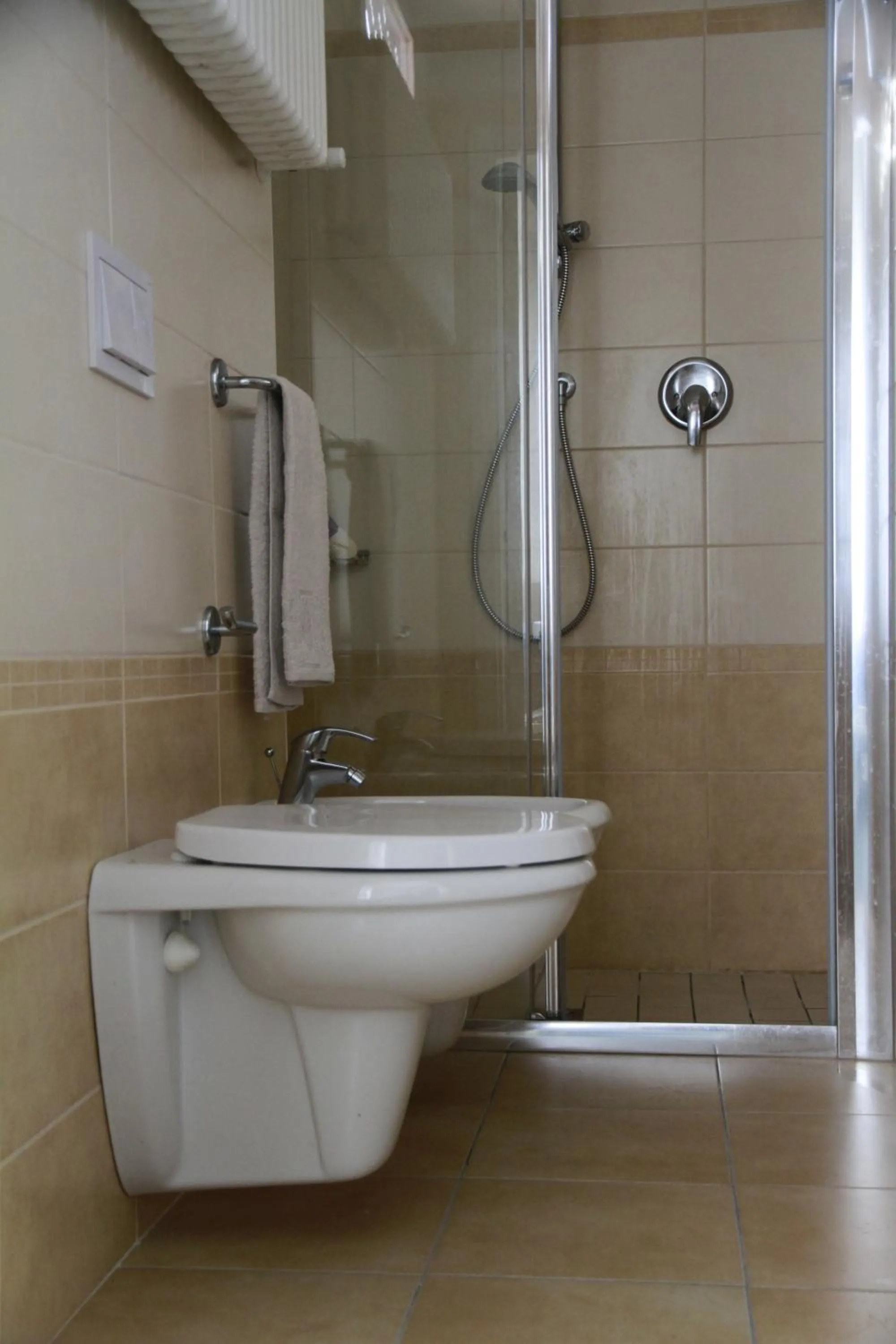 Toilet in Hotel Desire'