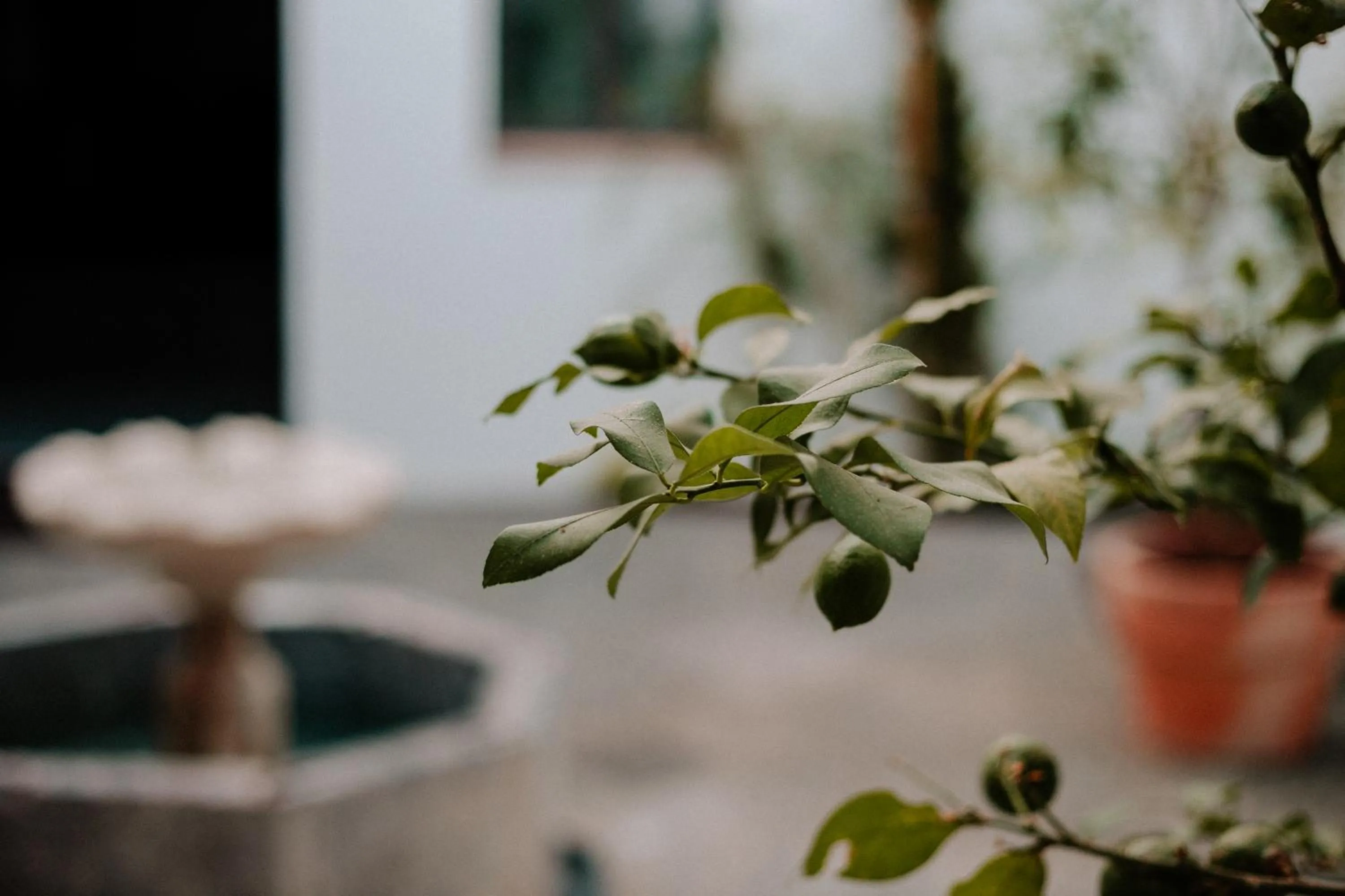 Patio in Casa del Cardenal