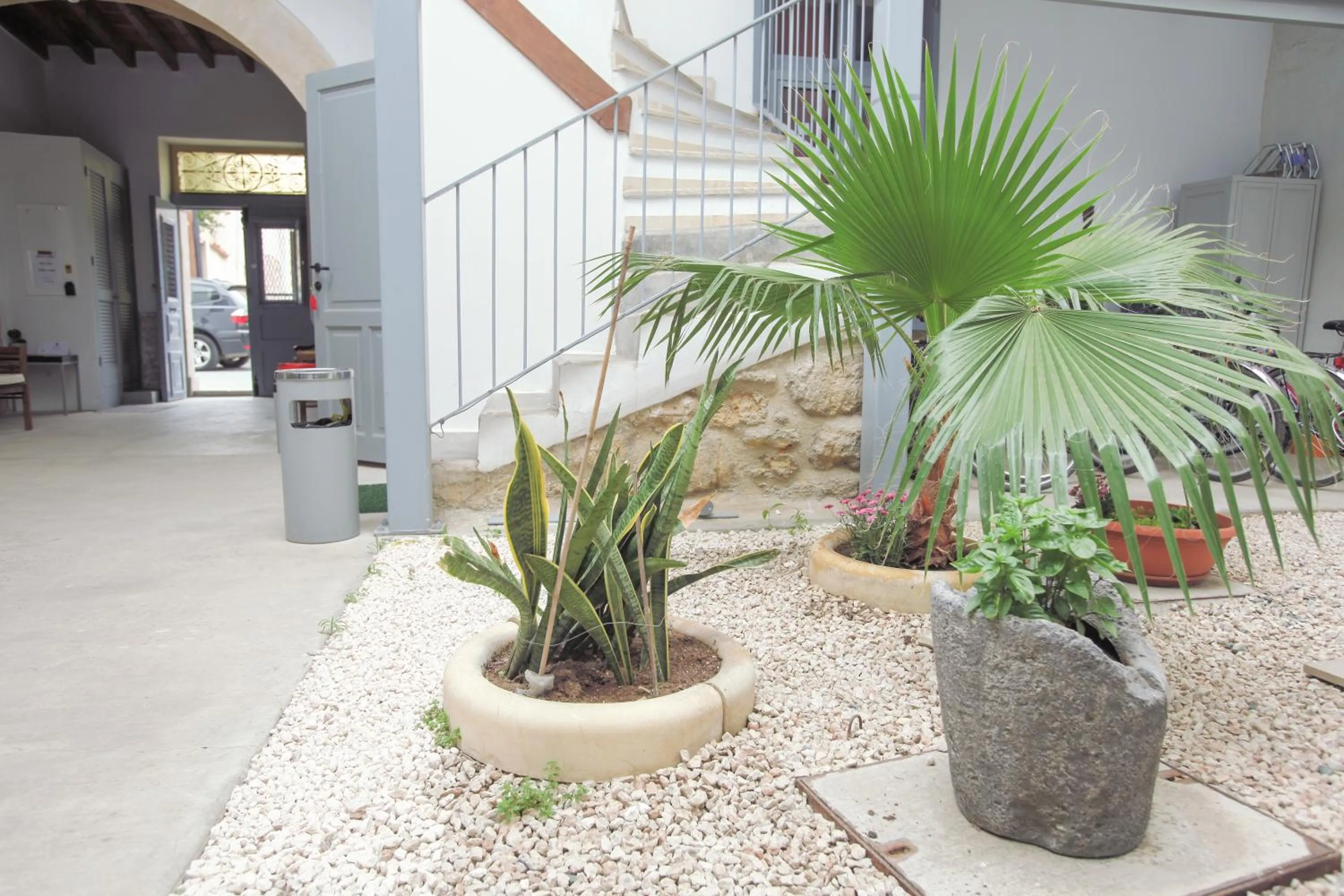 Garden in St. Lazaros Studios
