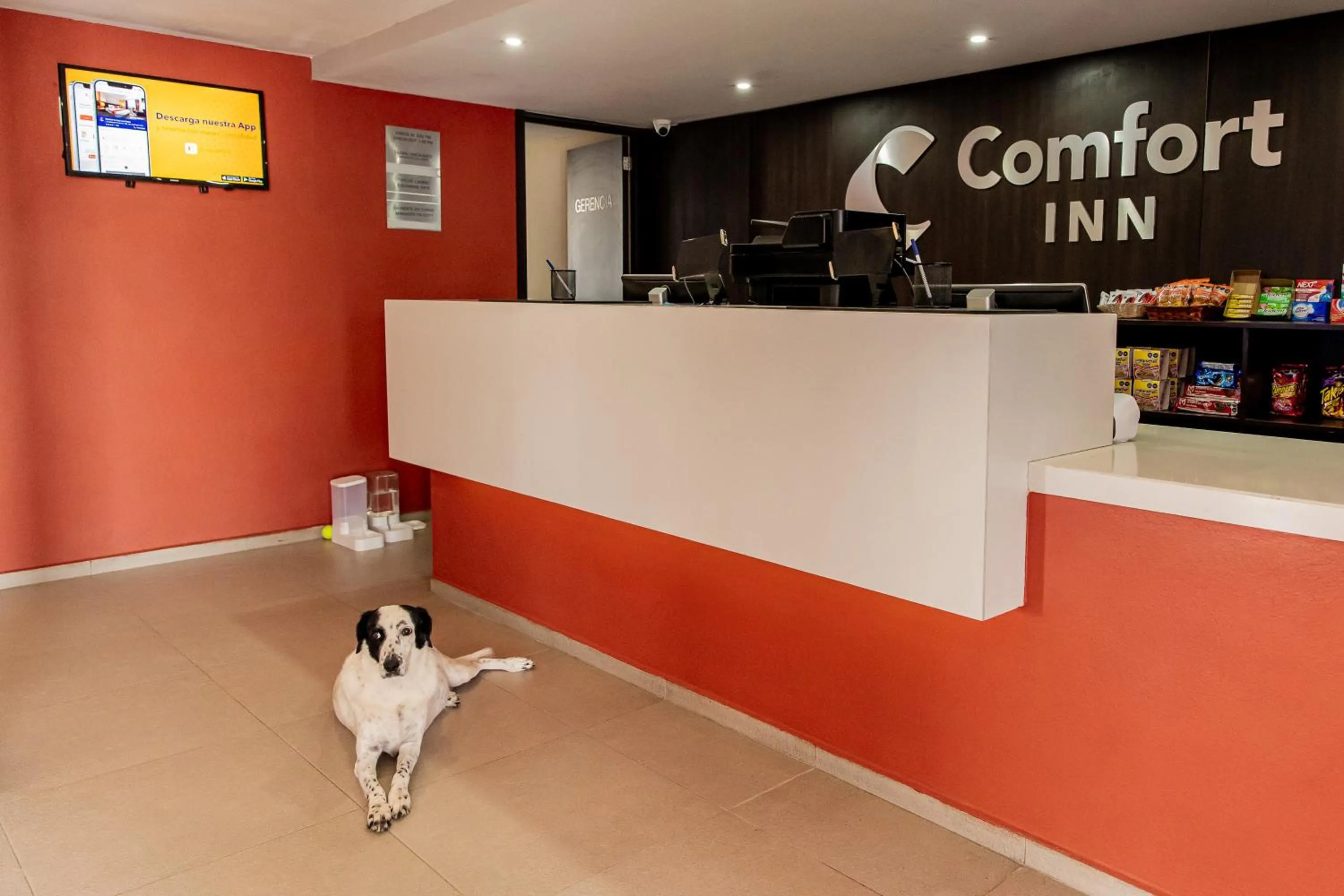 People in Comfort Inn San Luis Potosi