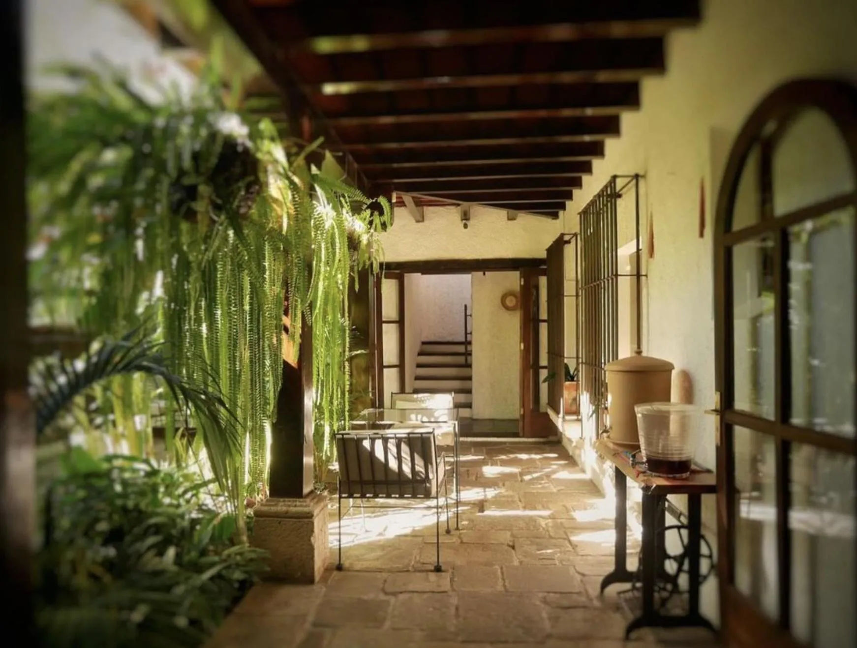 Cacao Boutique Hotel