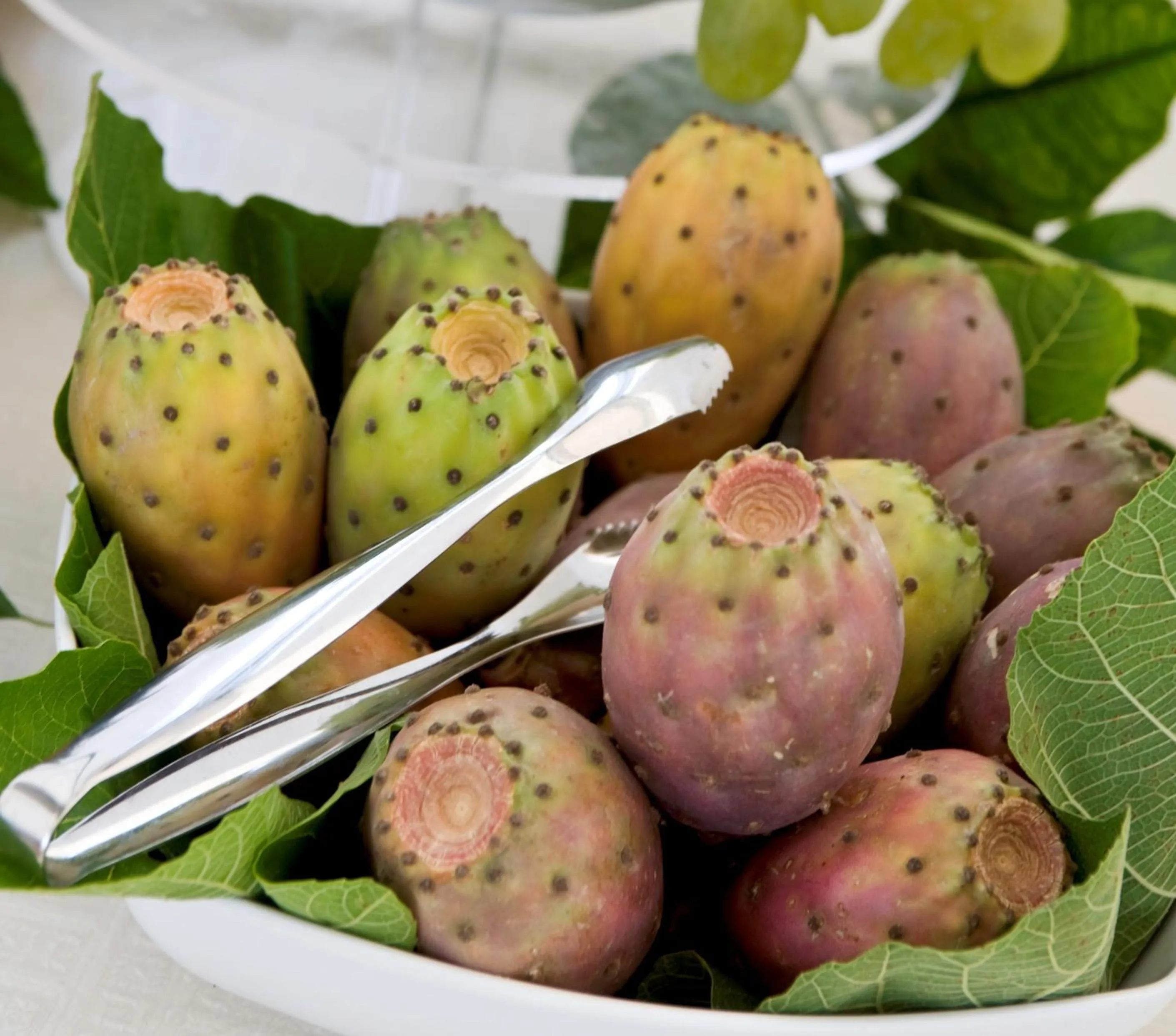 Food close-up in Hotel Palazzo Papaleo