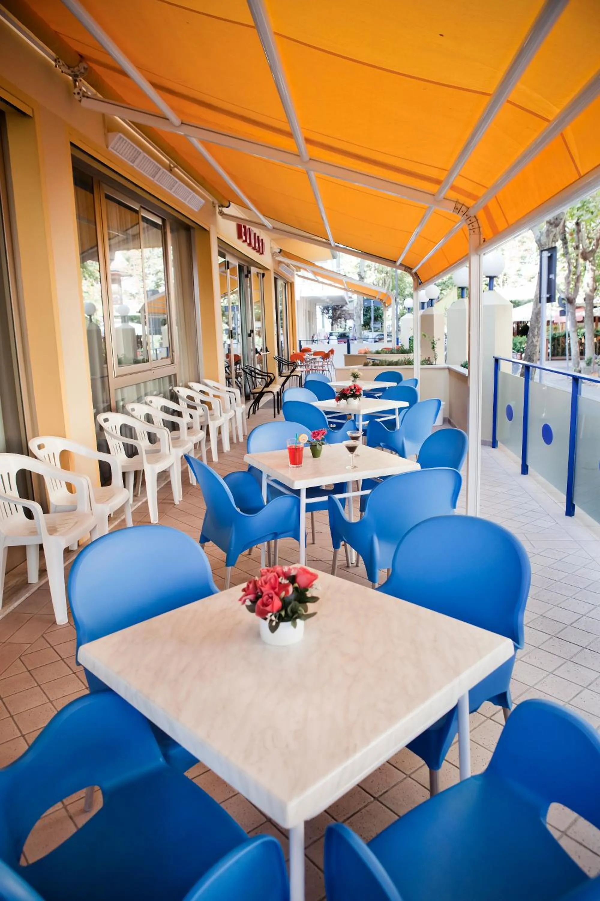 Garden in Hotel Edward