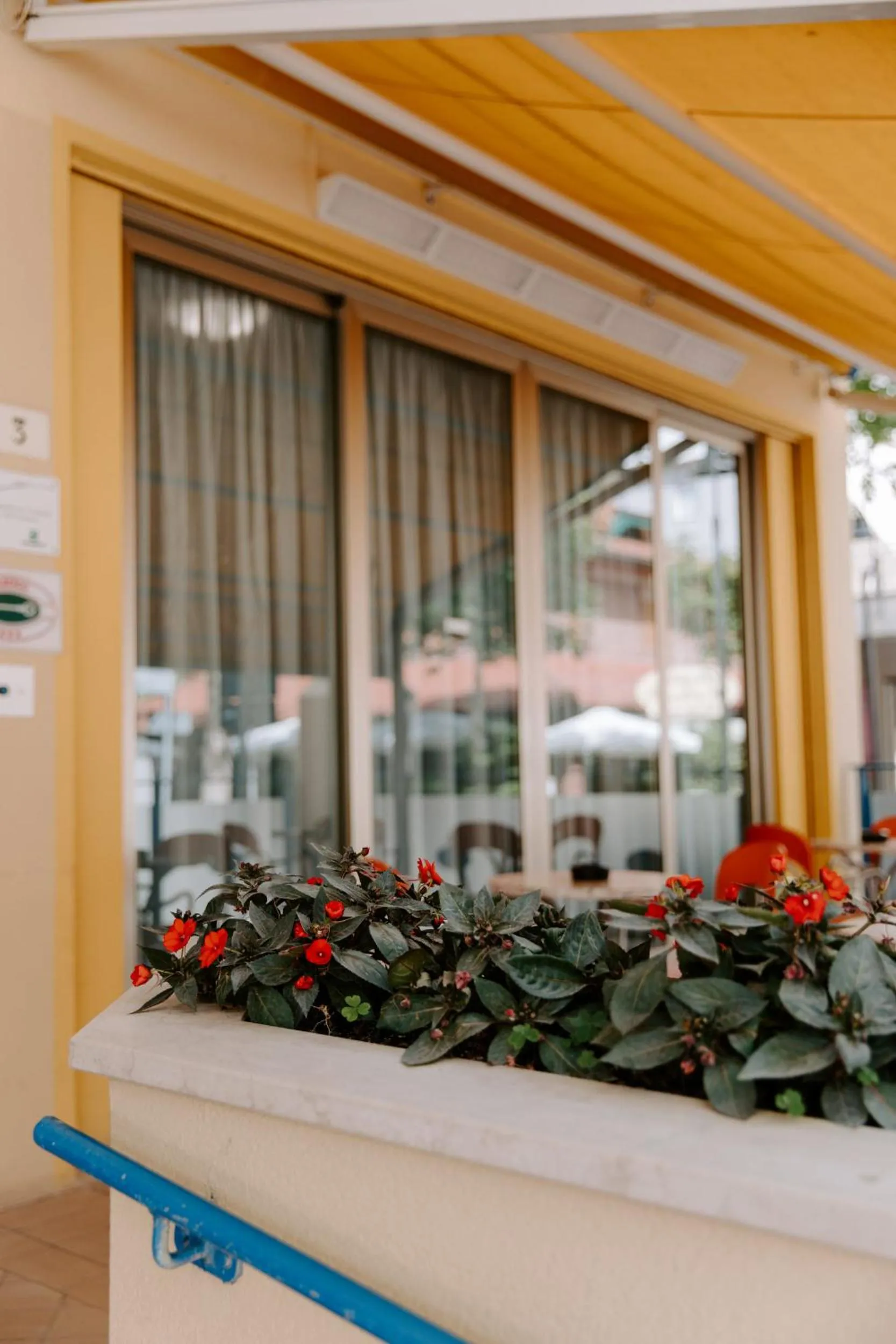 Patio in Hotel Edward