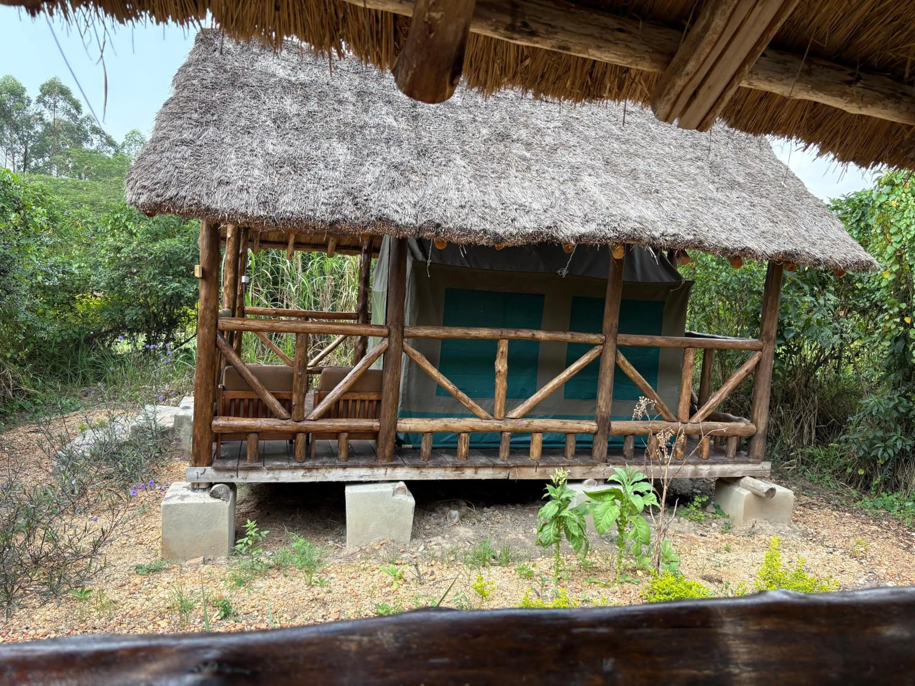 Ishasha Pride Lodge