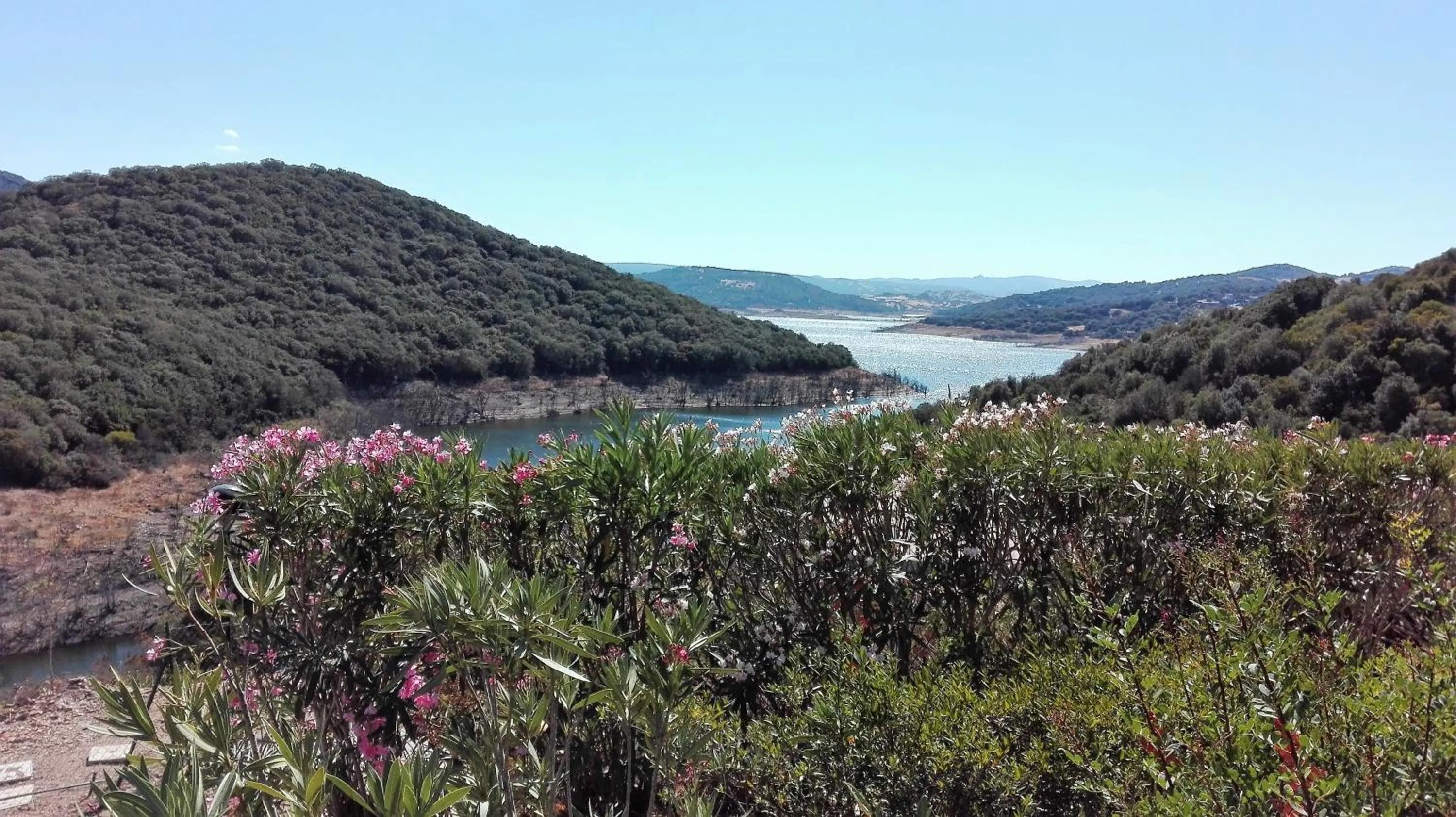 Summer in Hotel Aldiola Country Resort