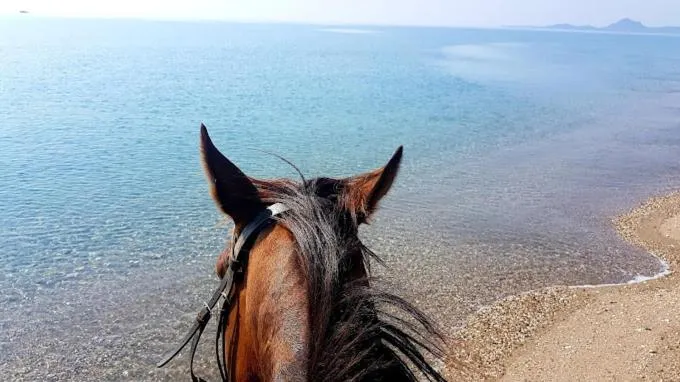 Horse-riding in Hotel Domu Incantada