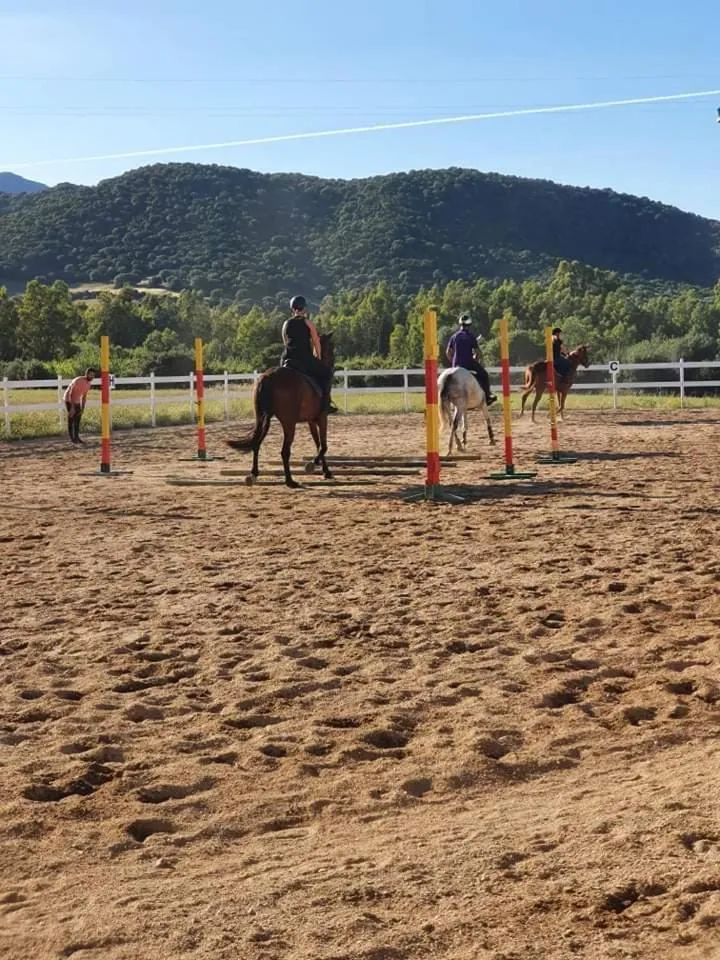 Horse-riding in Hotel Domu Incantada