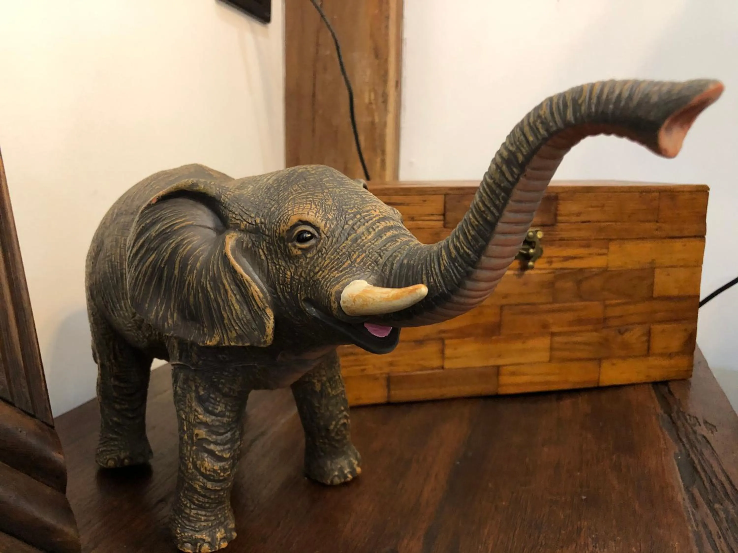 Pets in On The Mekong Resort