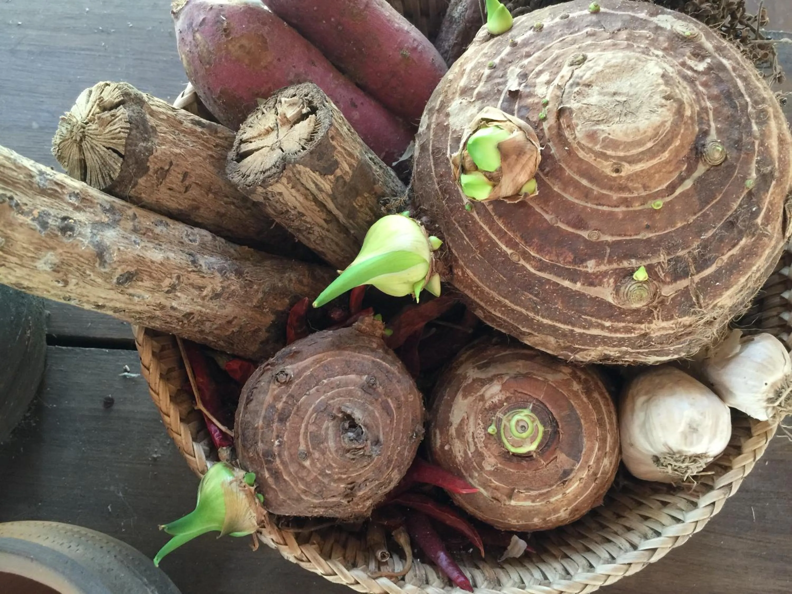 Garden in On The Mekong Resort