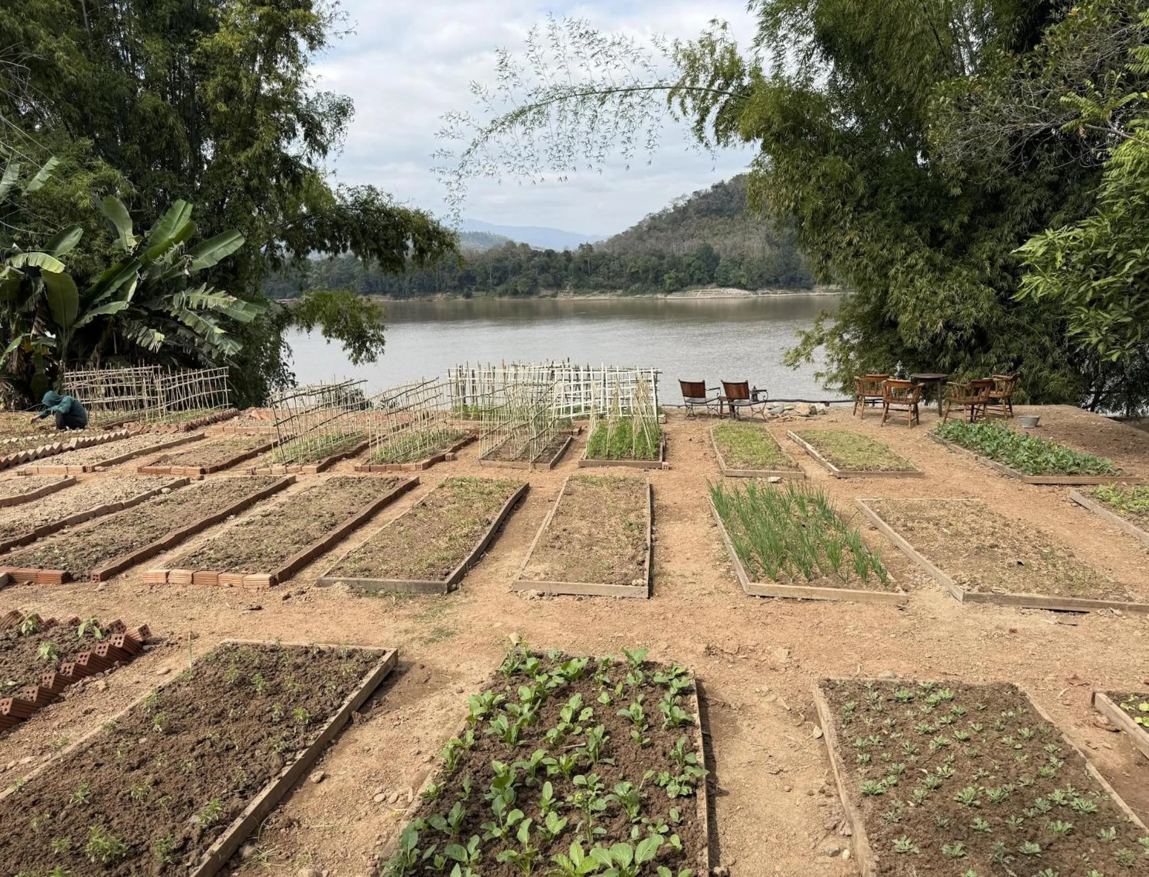 View (from property/room) in On The Mekong Resort