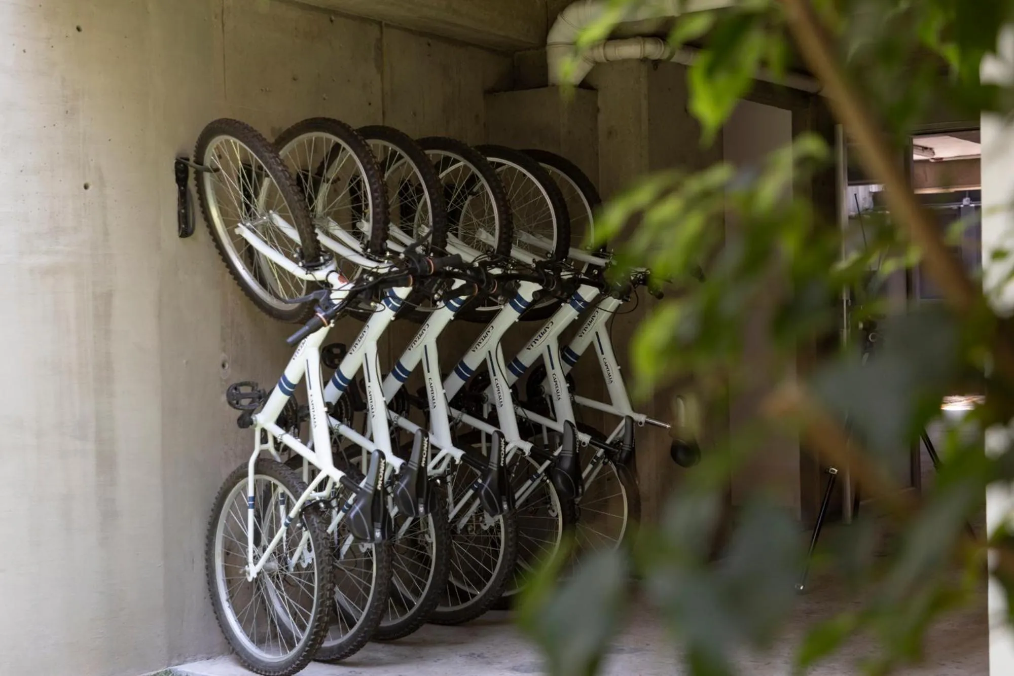 Cycling in Capitalia Anzures Polanco