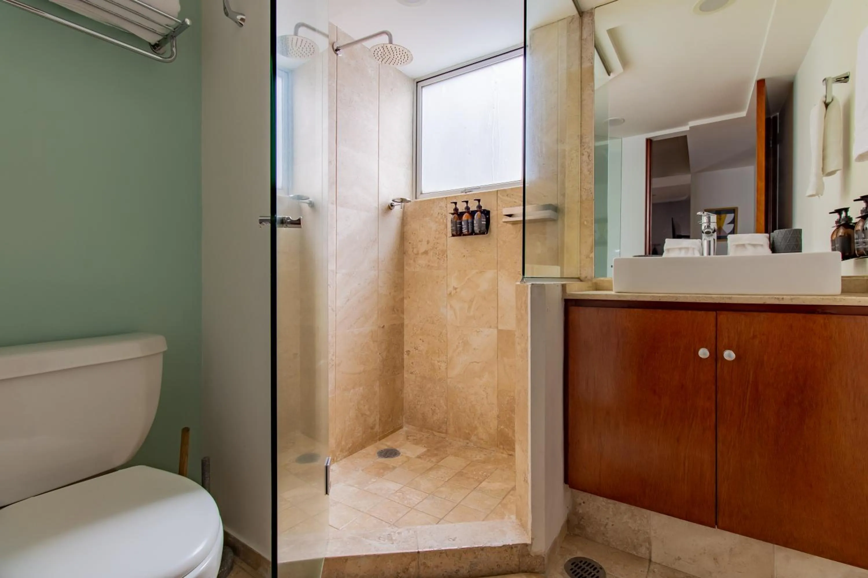 Shower in Capitalia Anzures Polanco