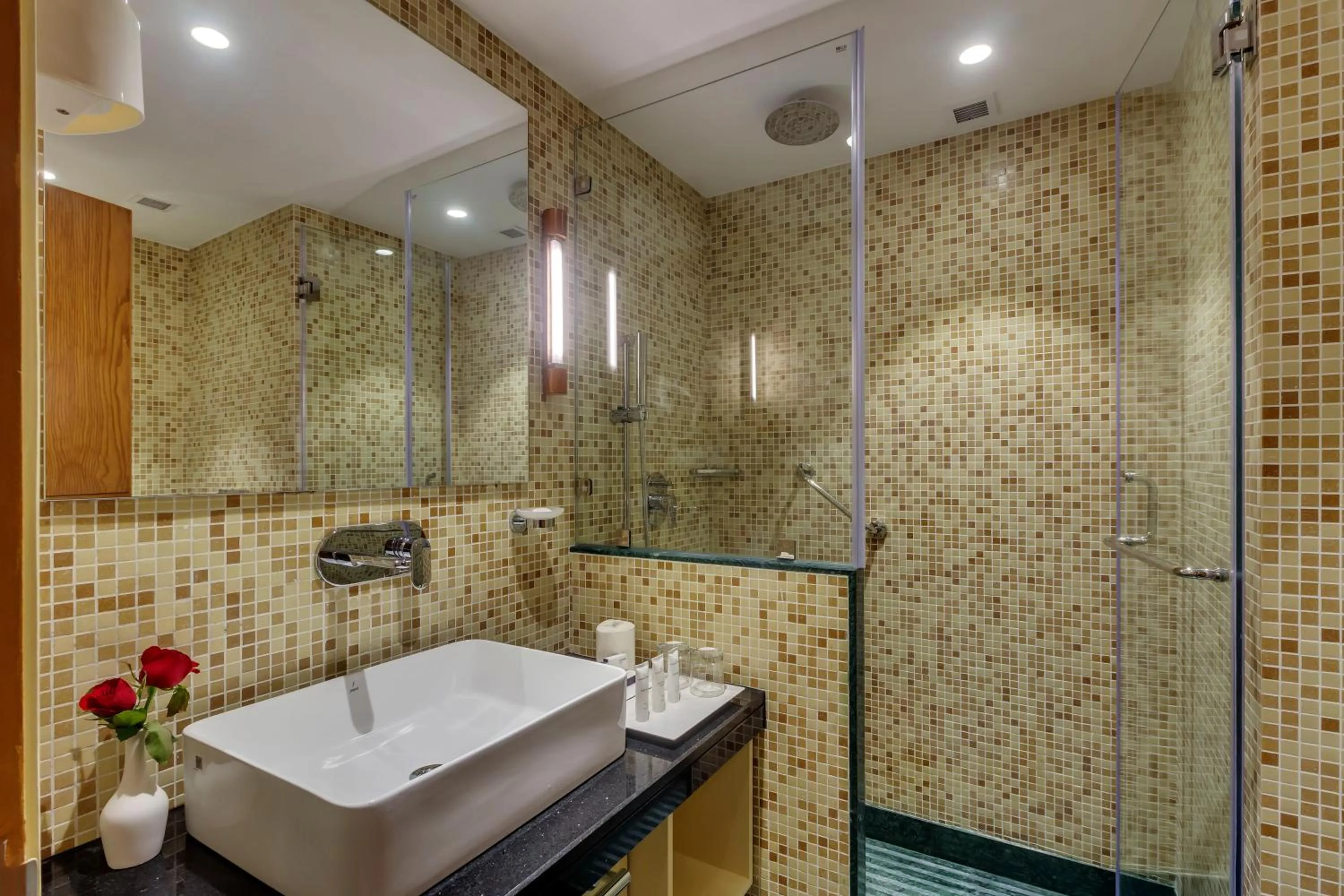 Bathroom in Golden Tulip New Delhi - Hari Nagar