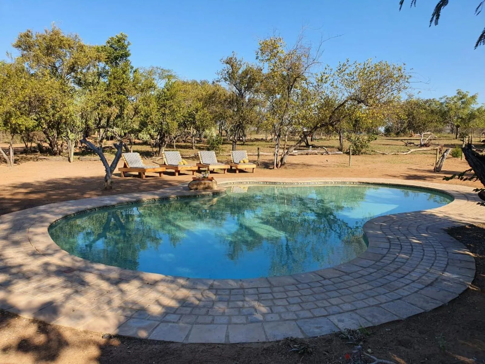 Swimming pool in Masorini Bush Lodge & Safari Tents