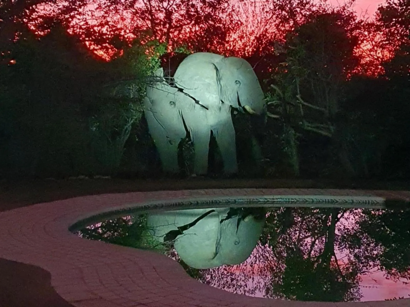 Swimming pool in Masorini Bush Lodge & Safari Tents