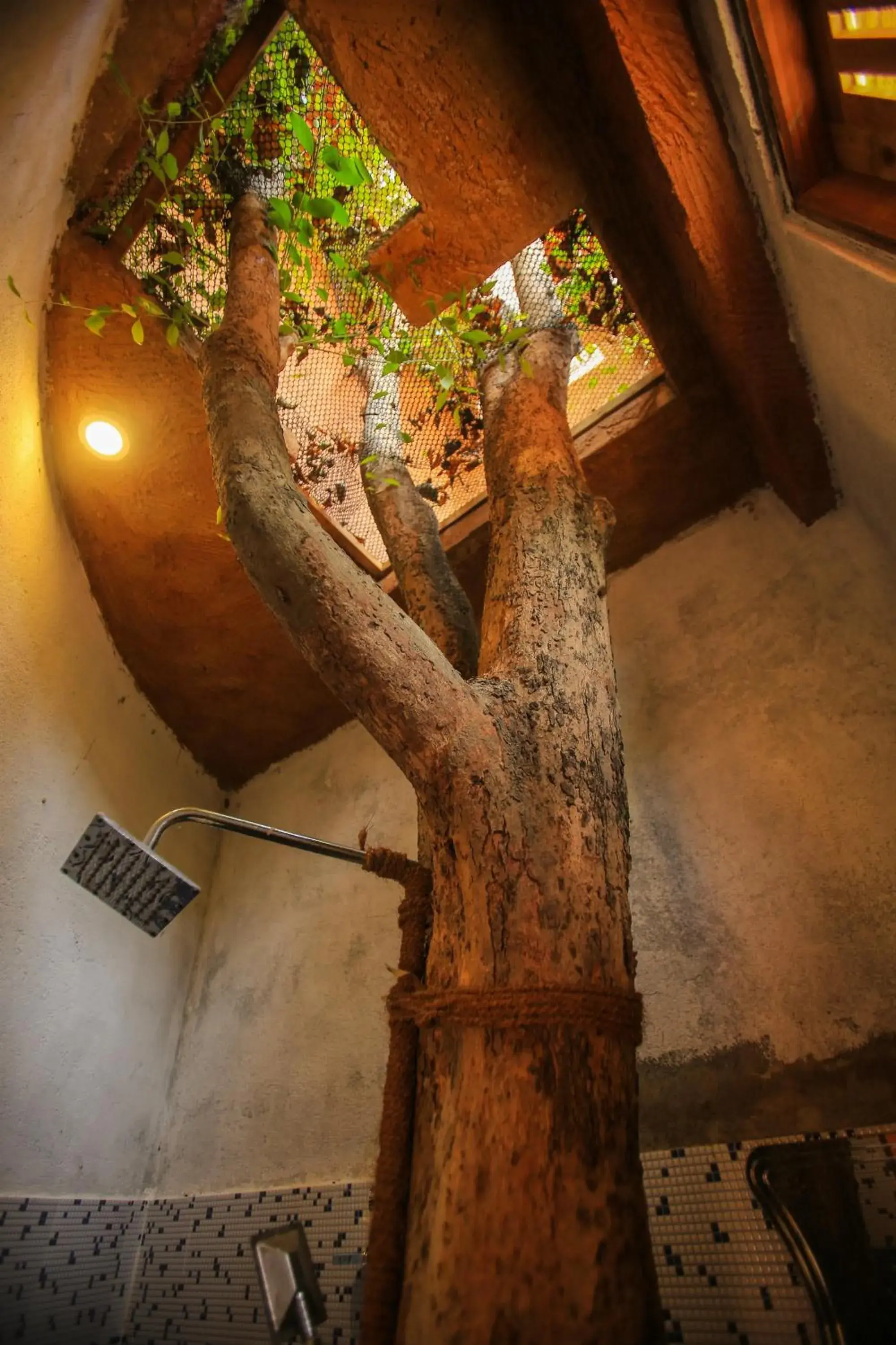 Property building in Jungle Hut Resort Sigiriya Property building in Jungle Hut Resort Sigiriya