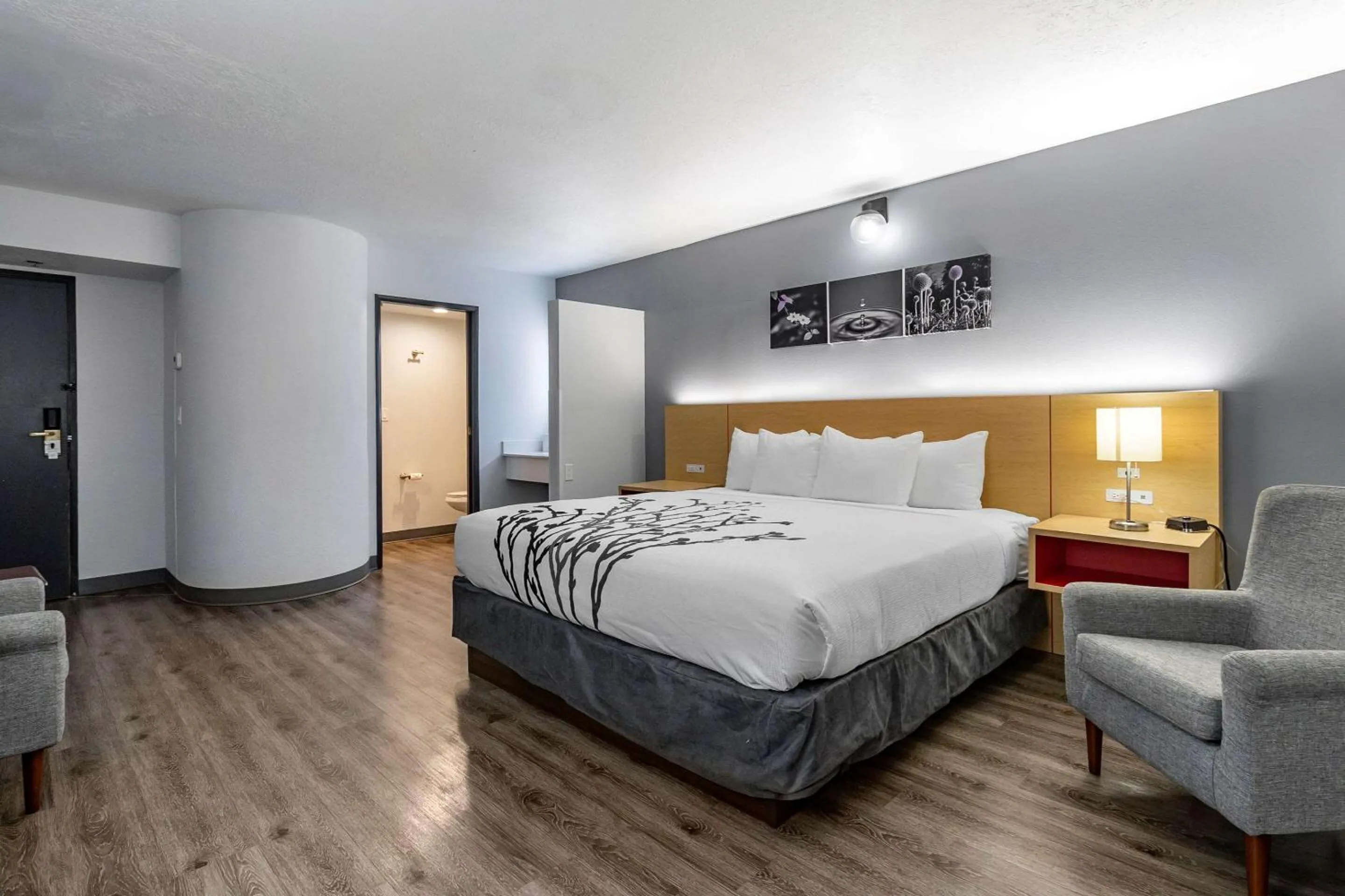 Bedroom, Bed in Sleep Inn & Suites Jerome - Twin Falls