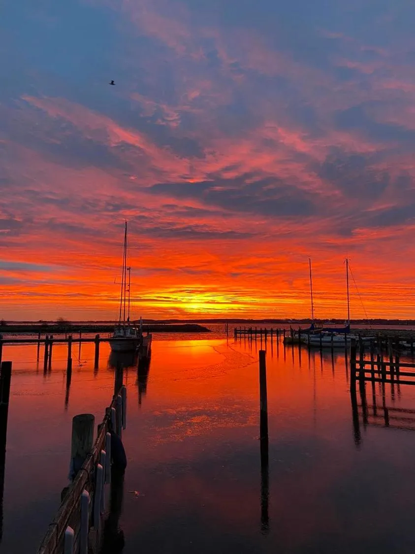Natural landscape in Hørby Færgekro