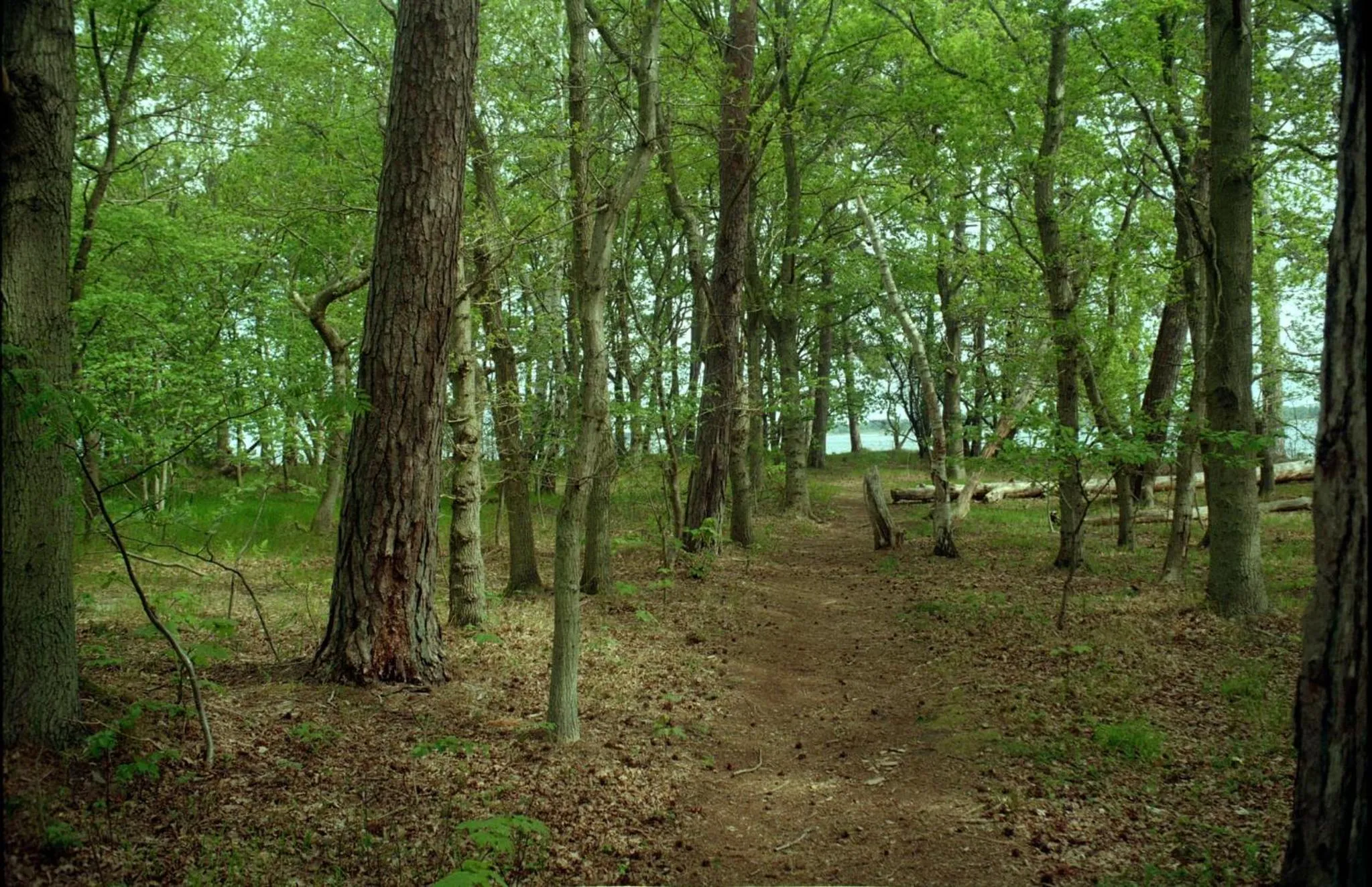 Nearby landmark in Hørby Færgekro
