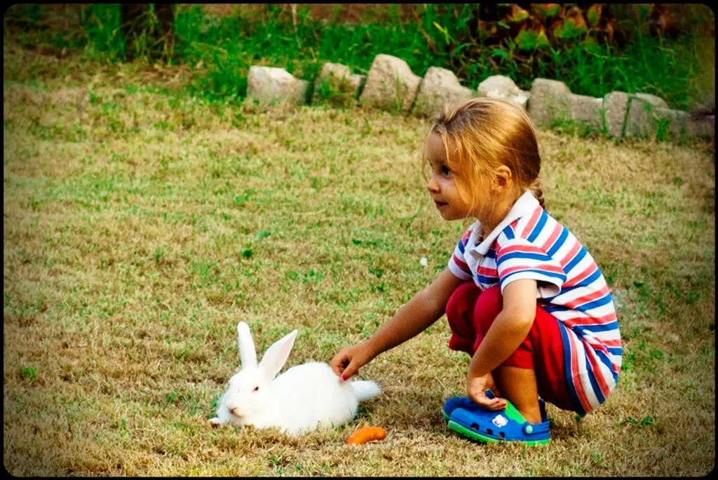 Lobby or reception in Mursel Garden Hotel