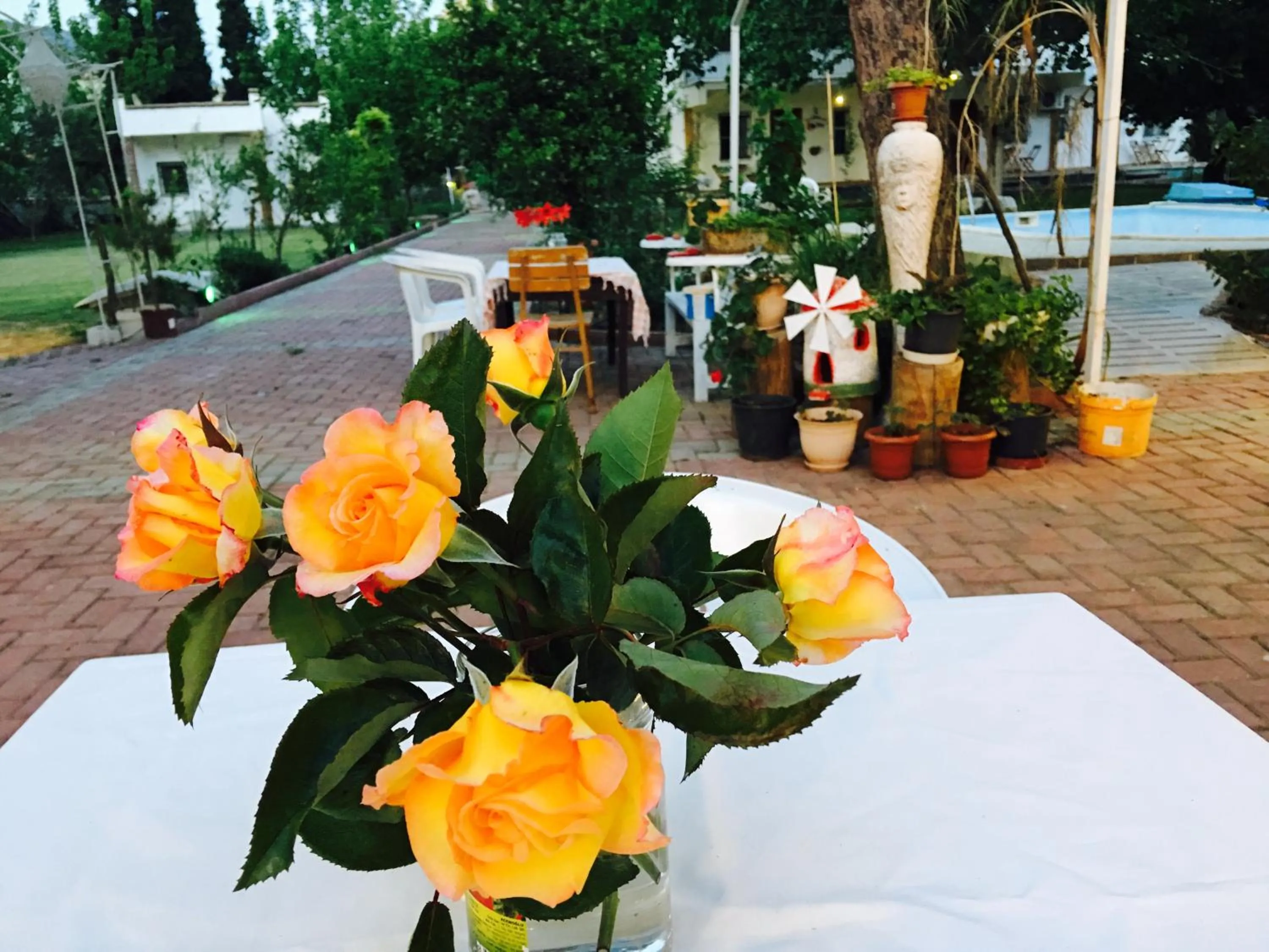 Restaurant/places to eat in Mursel Garden Hotel