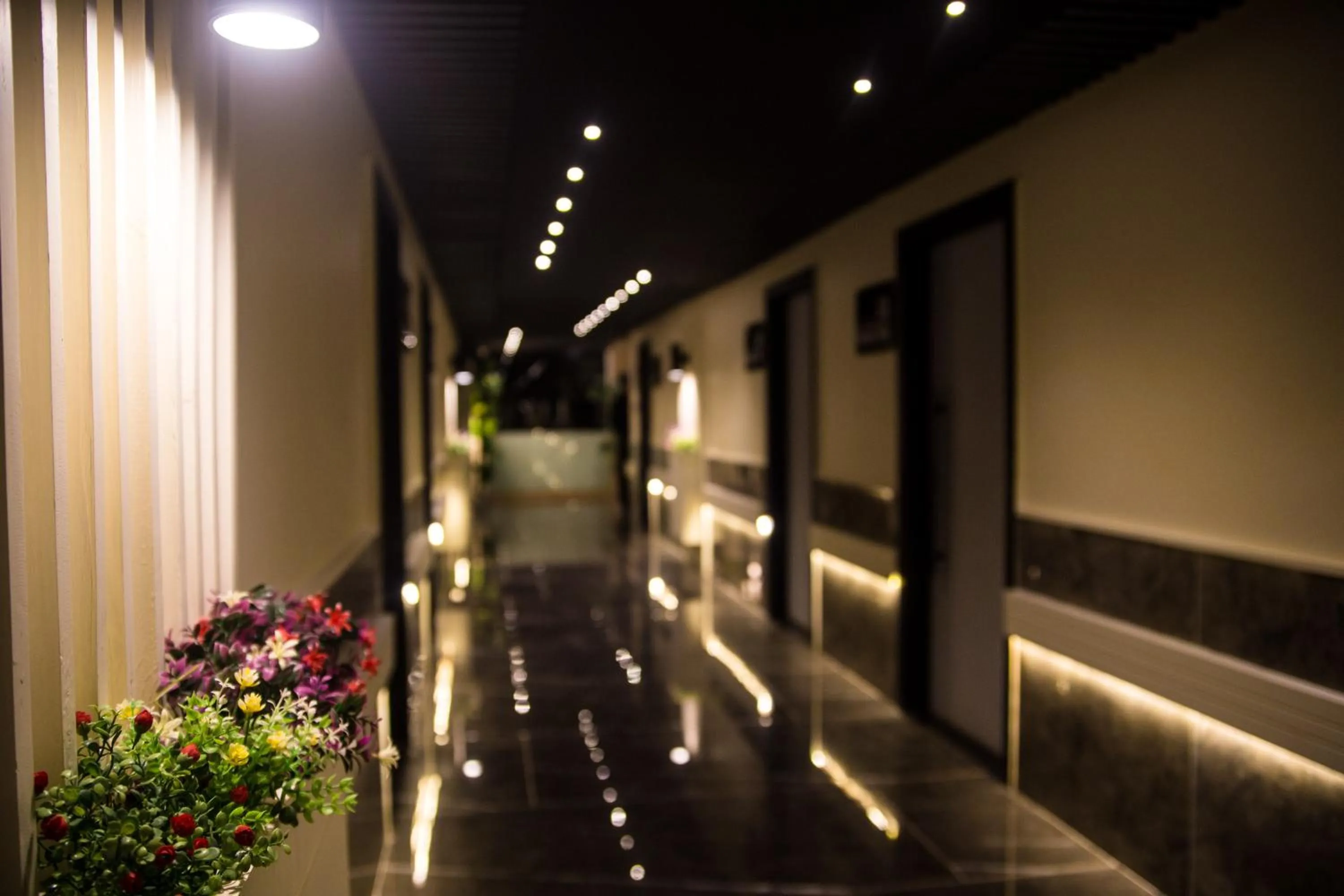 Night in Metropole Hotel