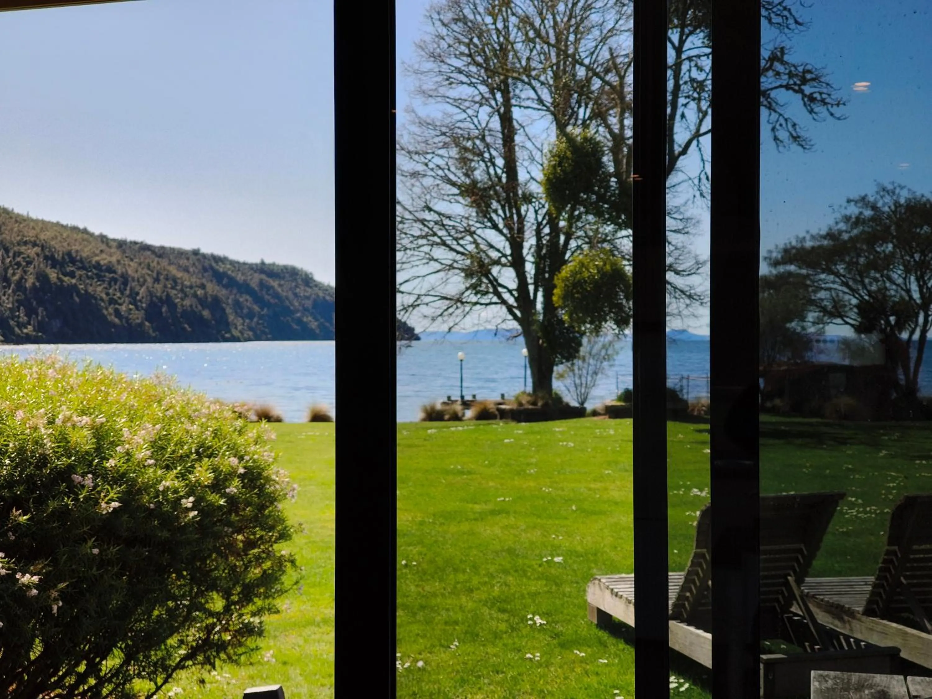 Spring in Braxmere Lodge