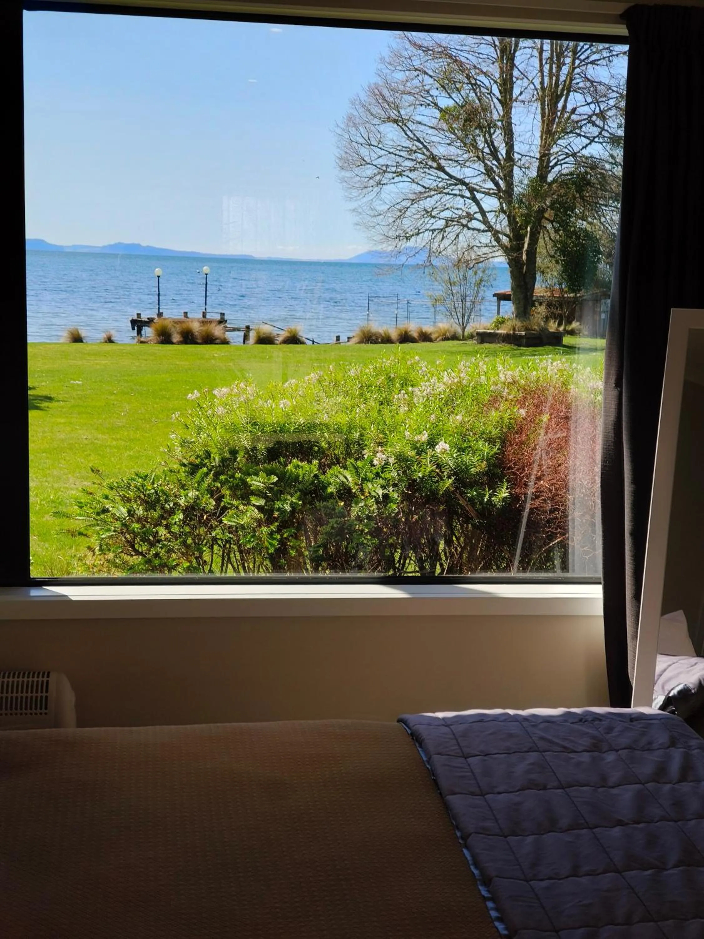 Spring in Braxmere Lodge