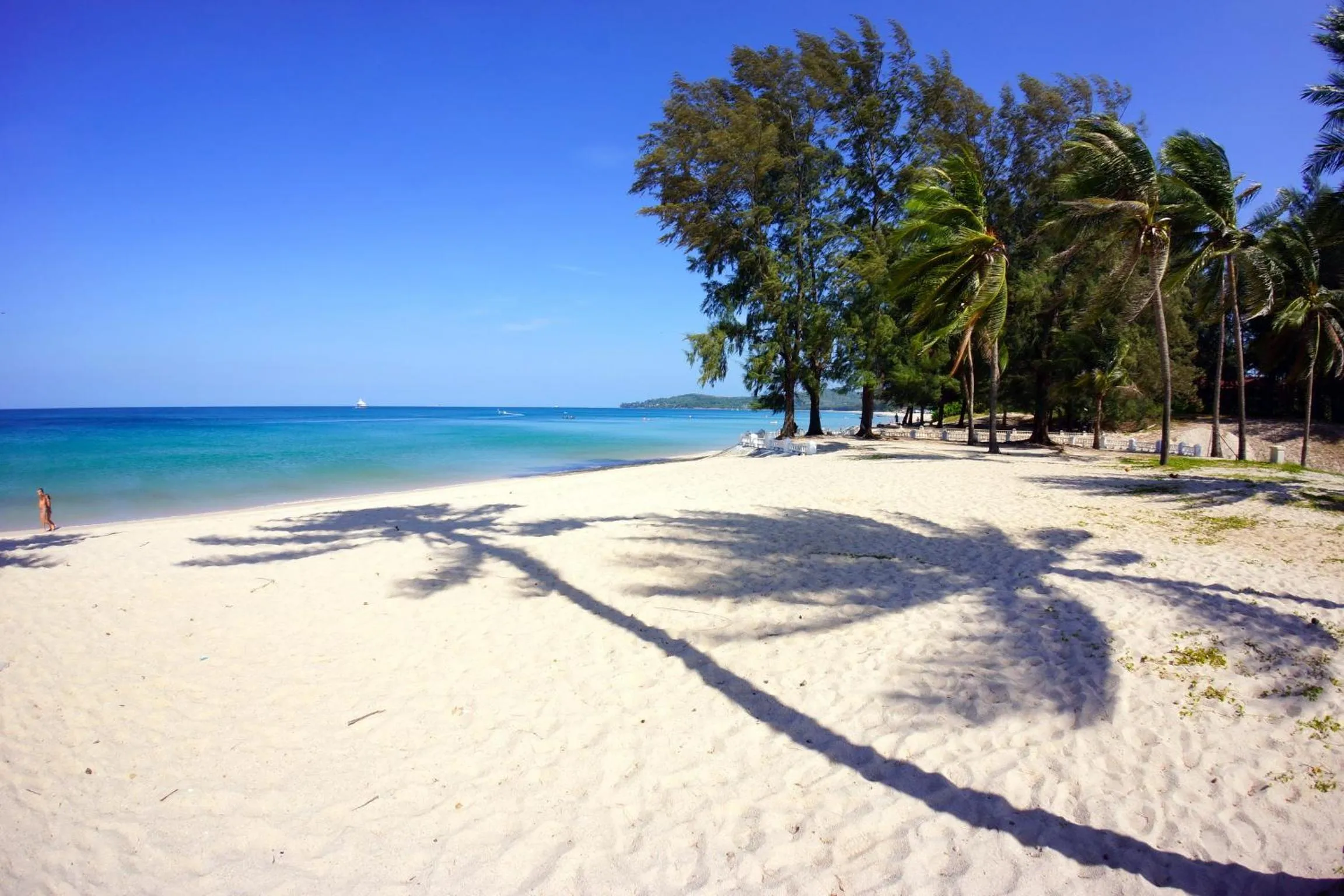 Natural landscape in Casuarina Shores Apartment - SHA Plus