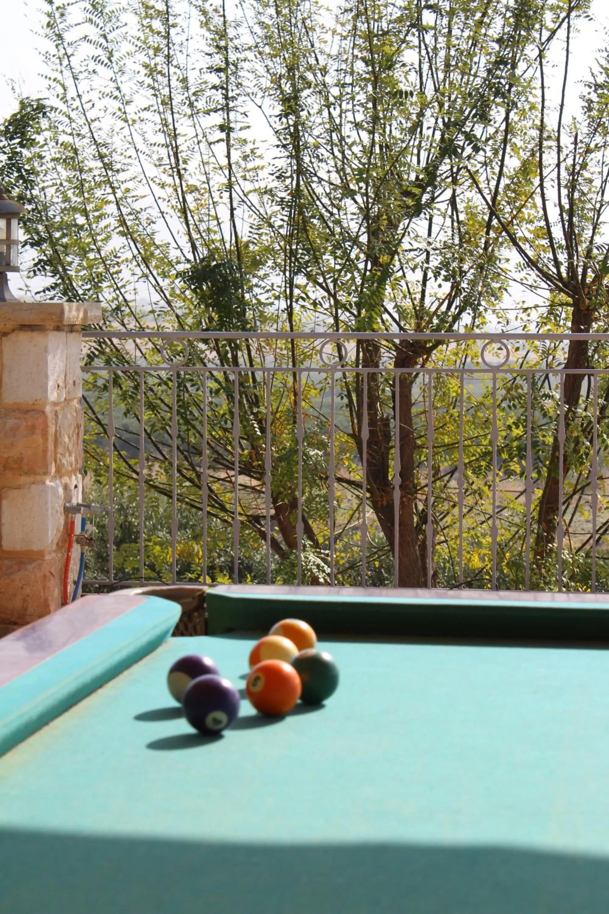 Billiard in The Mansion In Had Ness