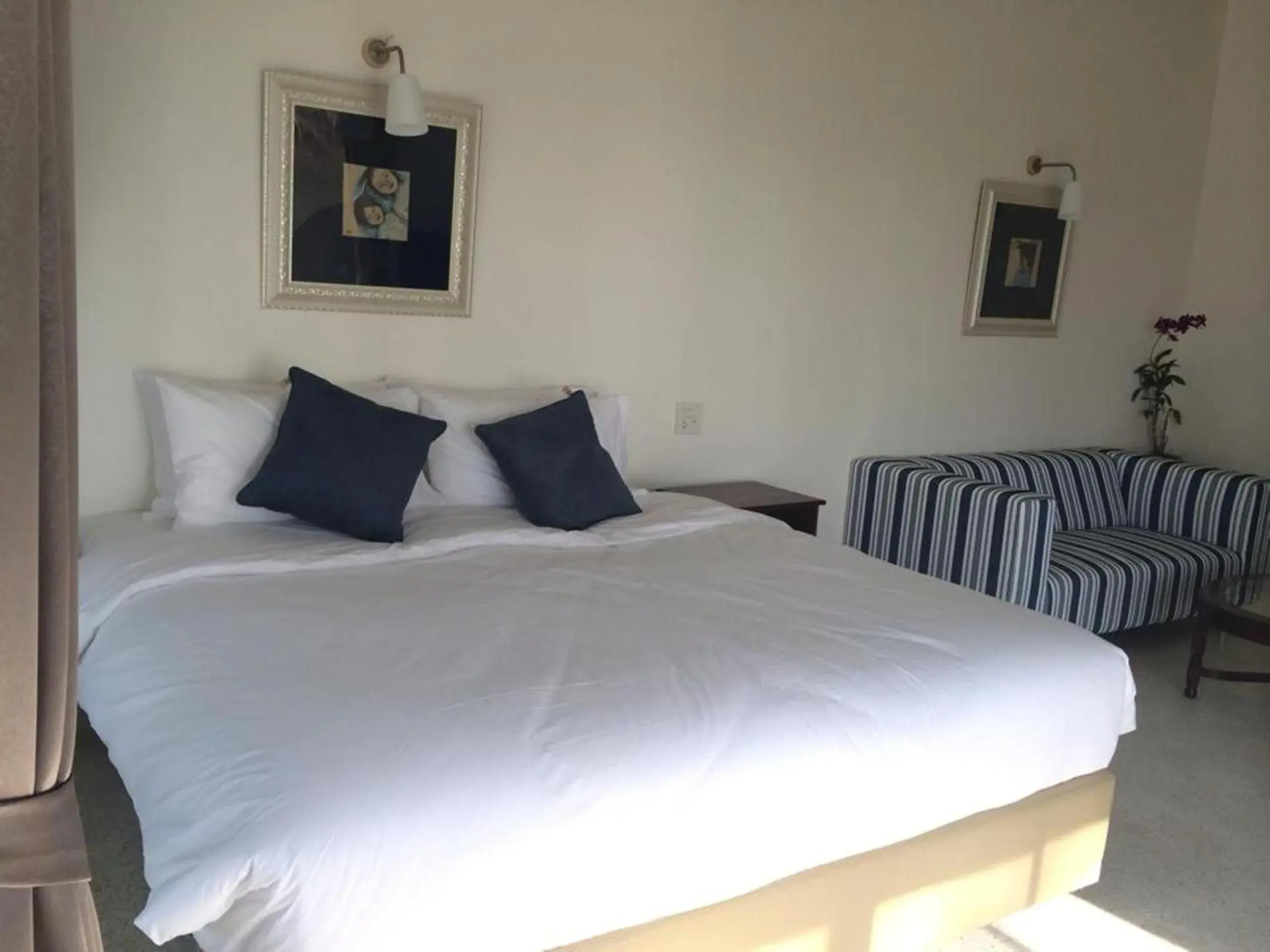 Bed in Meet The Sea Bed in Meet The Sea