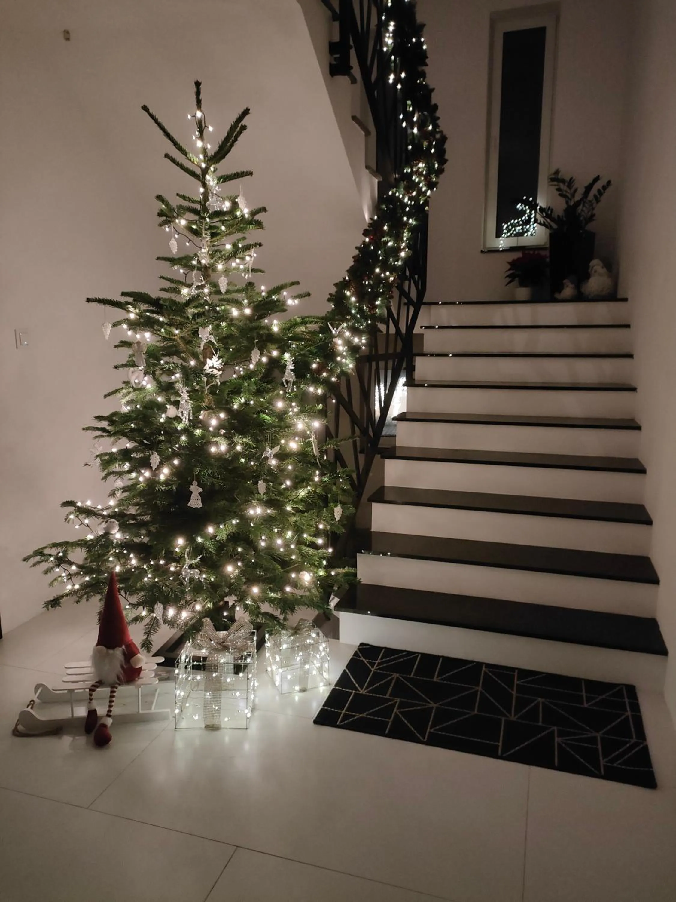 Apartamenty Mistral