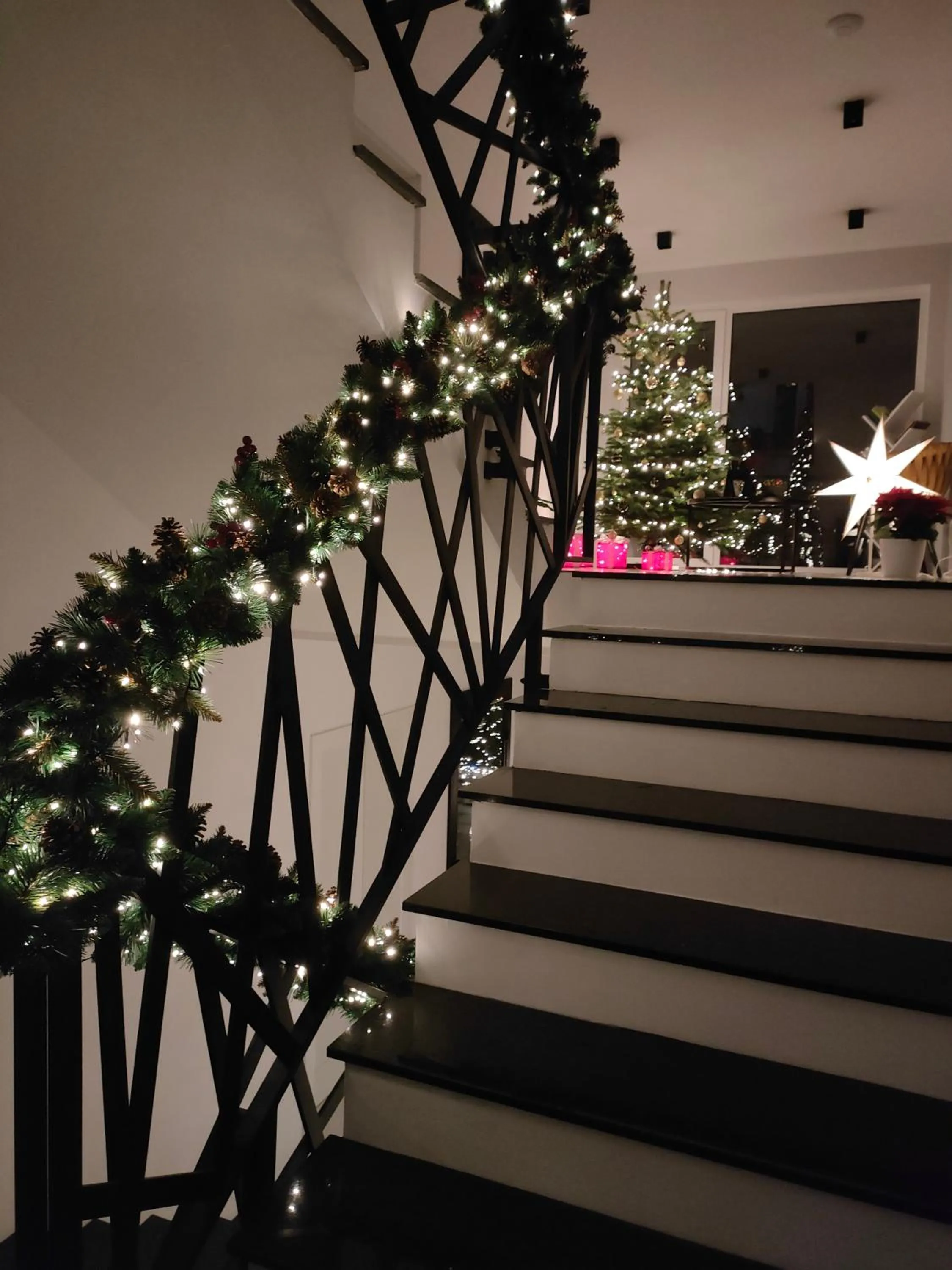 Apartamenty Mistral