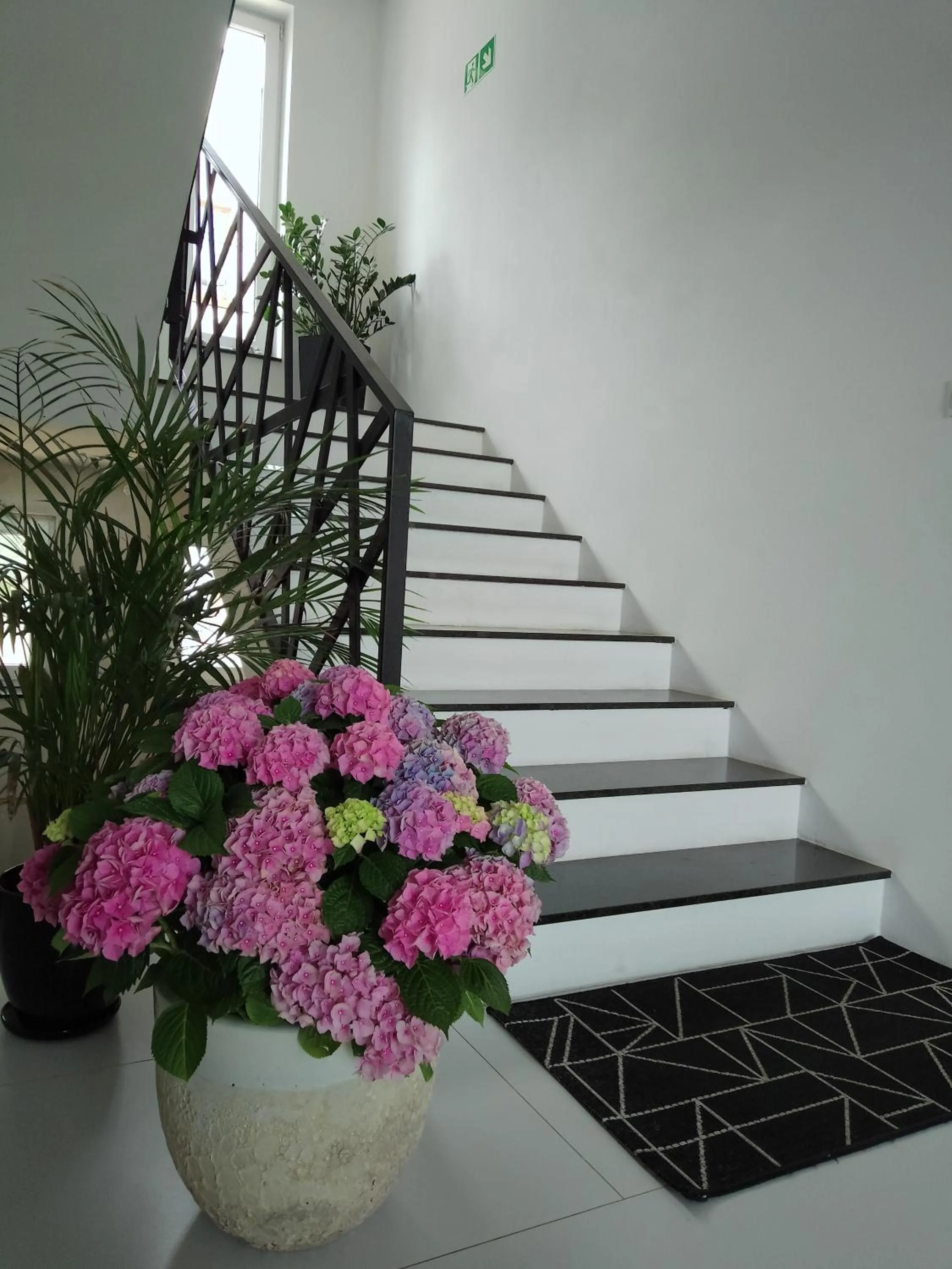 Apartamenty Mistral