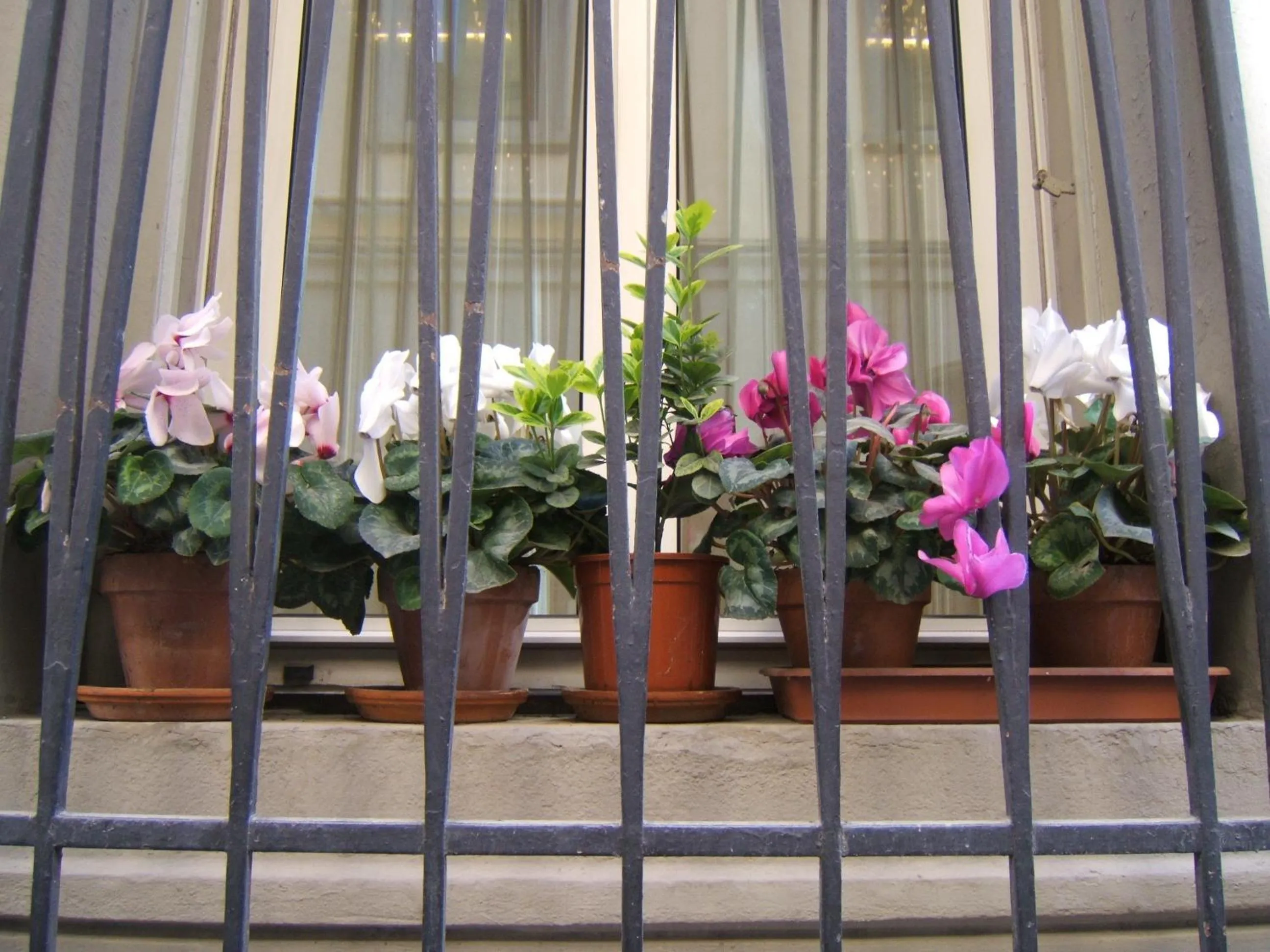 Decorative detail in Hotel Nuova Italia